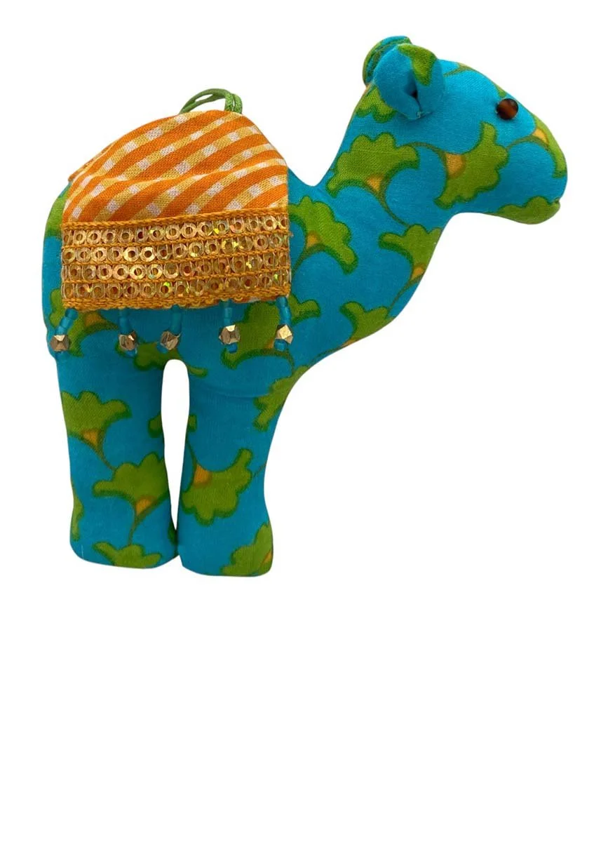 camel-turq2.jjpg.jpg