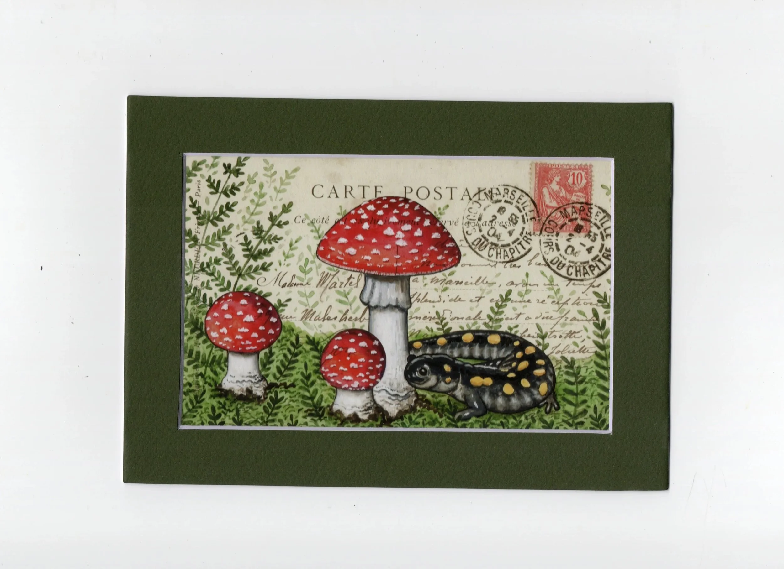 Salamander Postcard