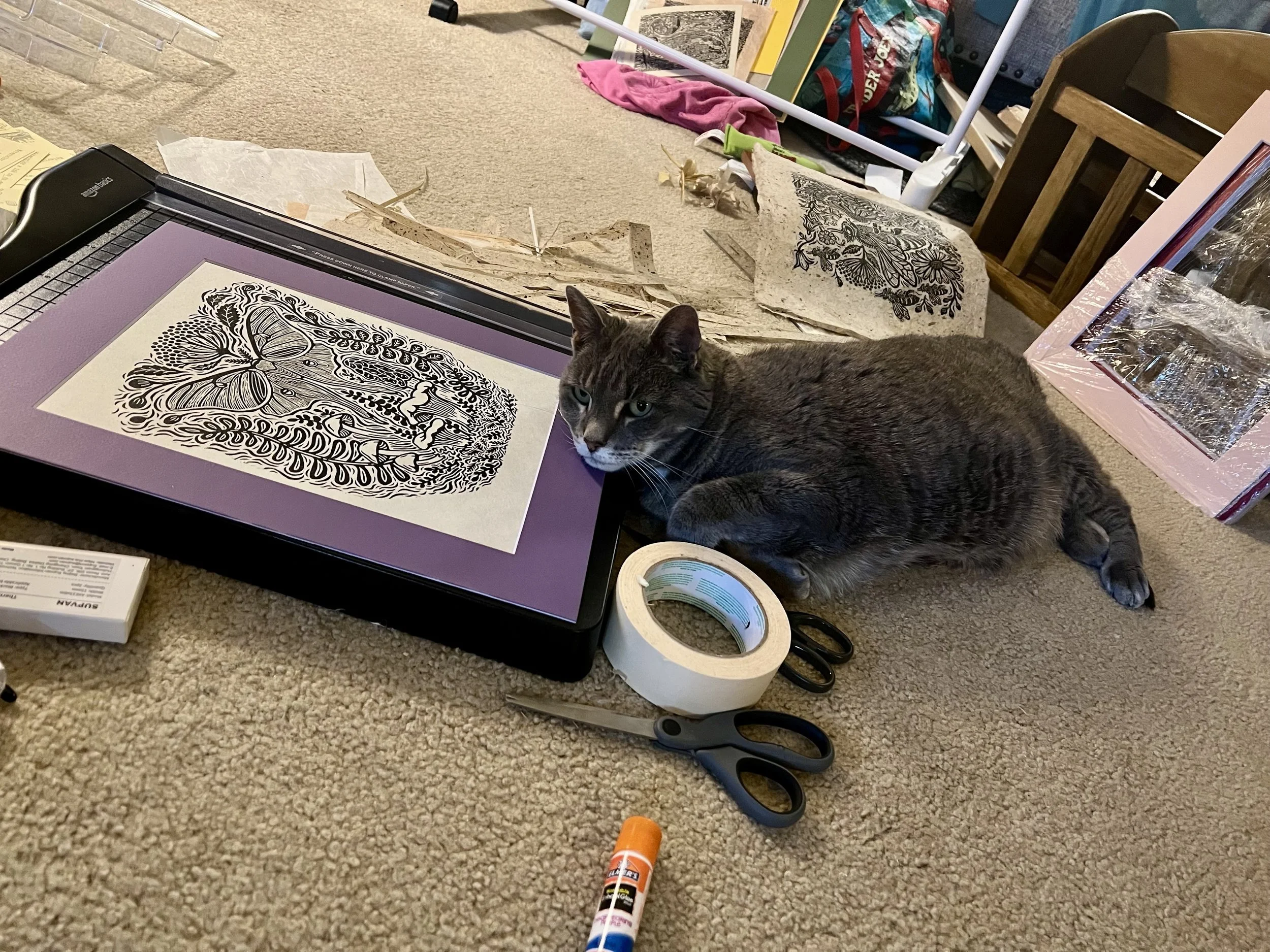 Vienna sometimes needs to take a nap on the job