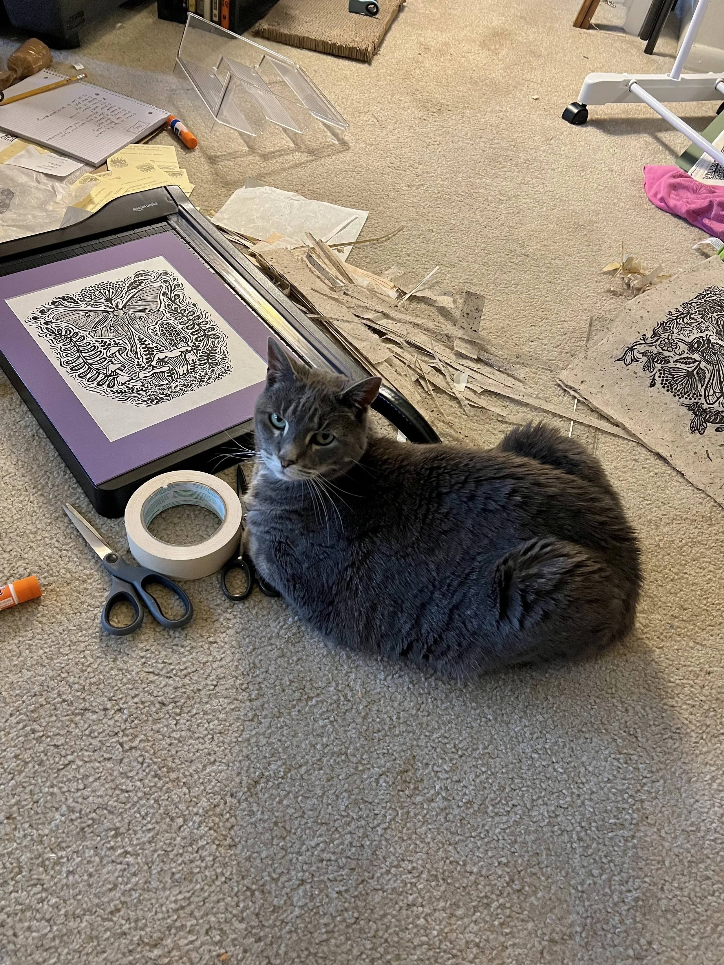 Vienna has an important job!