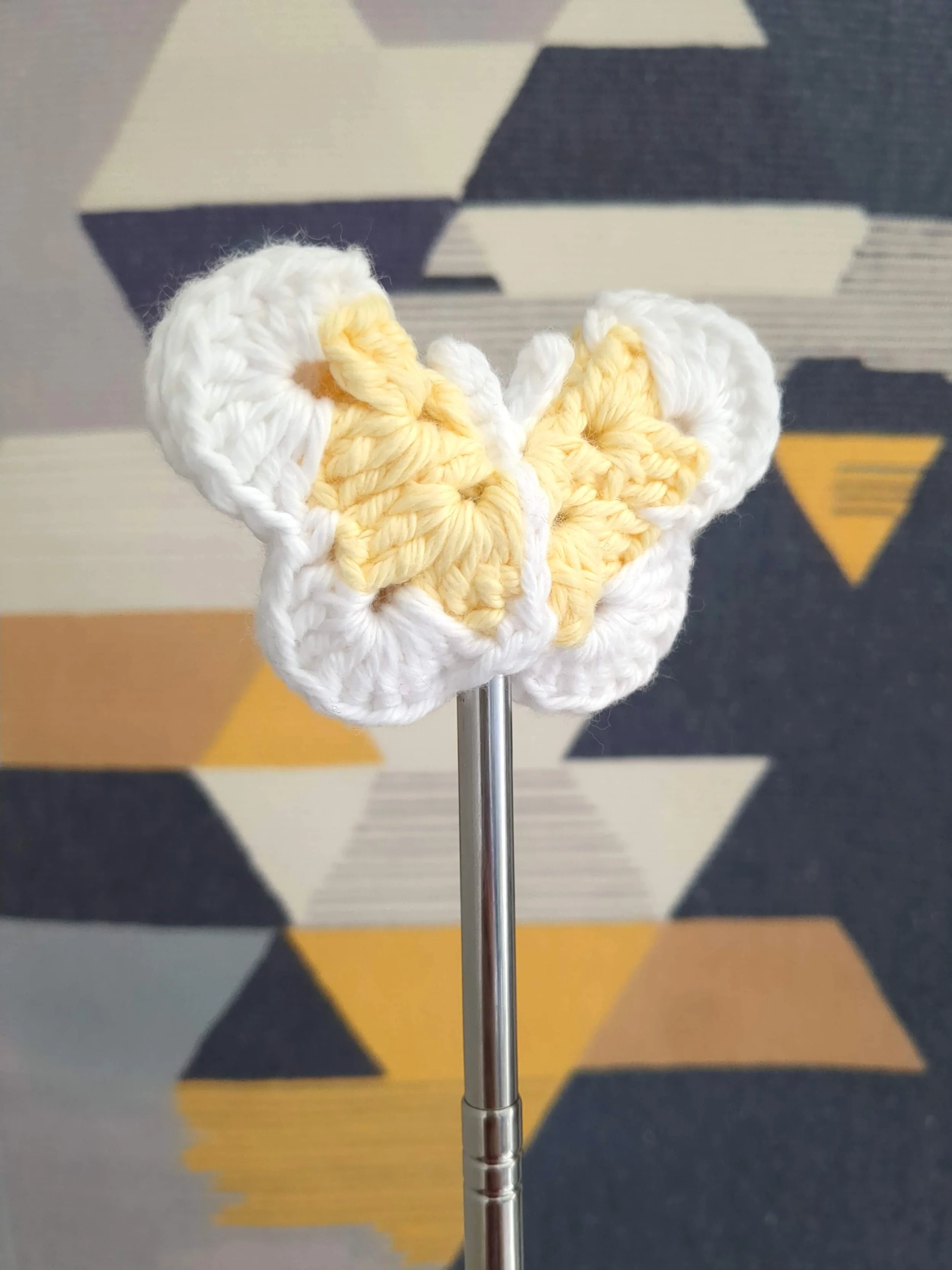 Butterfly only one 2.jpg