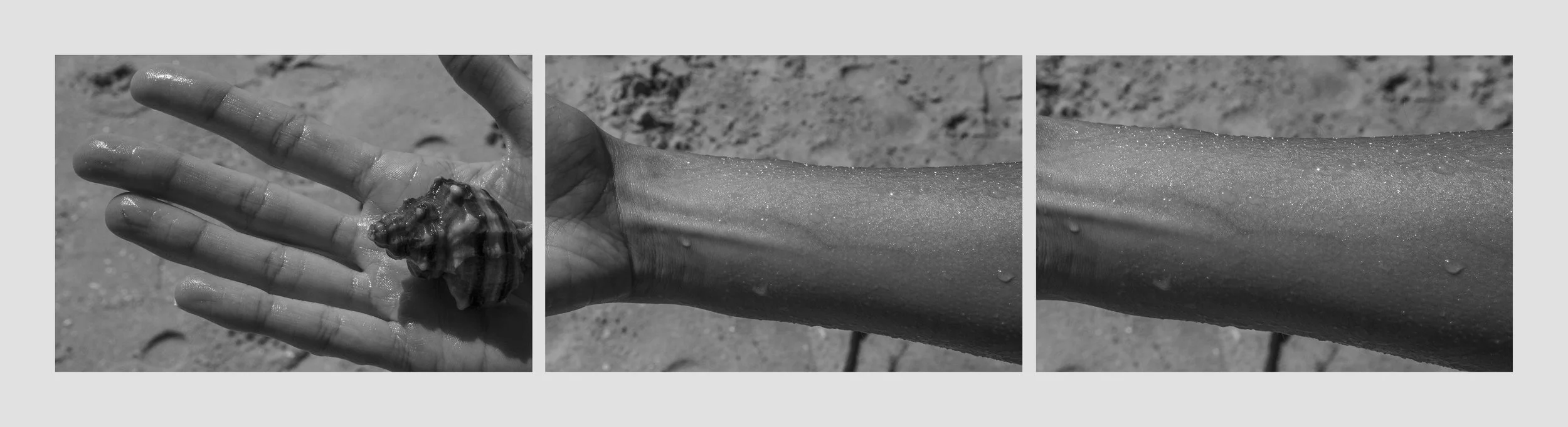 8-3a_monta b_1+1+1ph copy.jpg