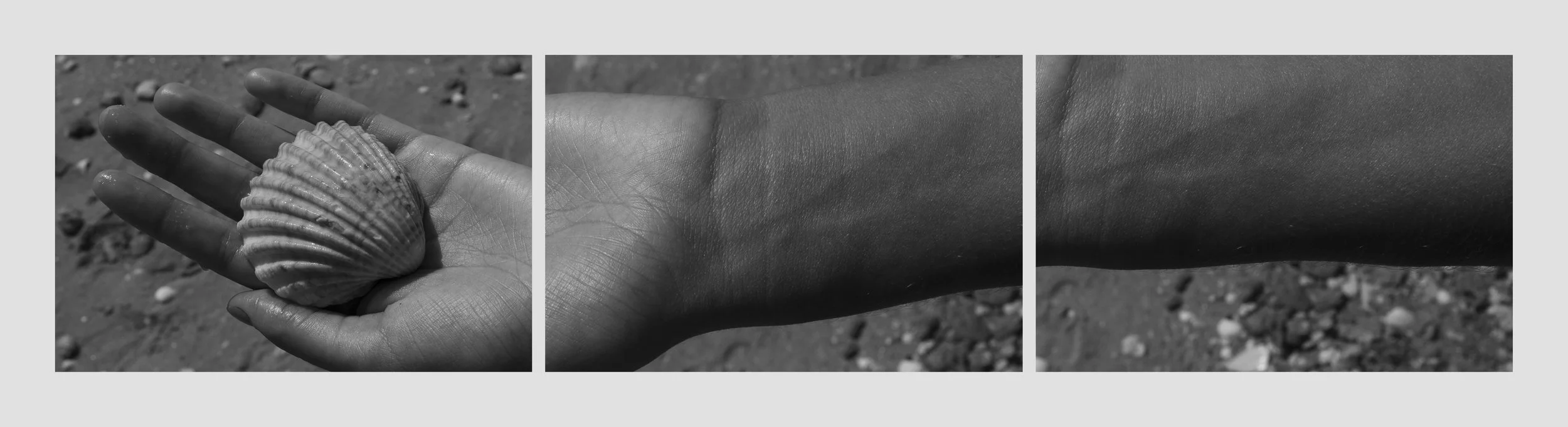 matriz-8-3_monta a_1+1+1ph copy.jpg