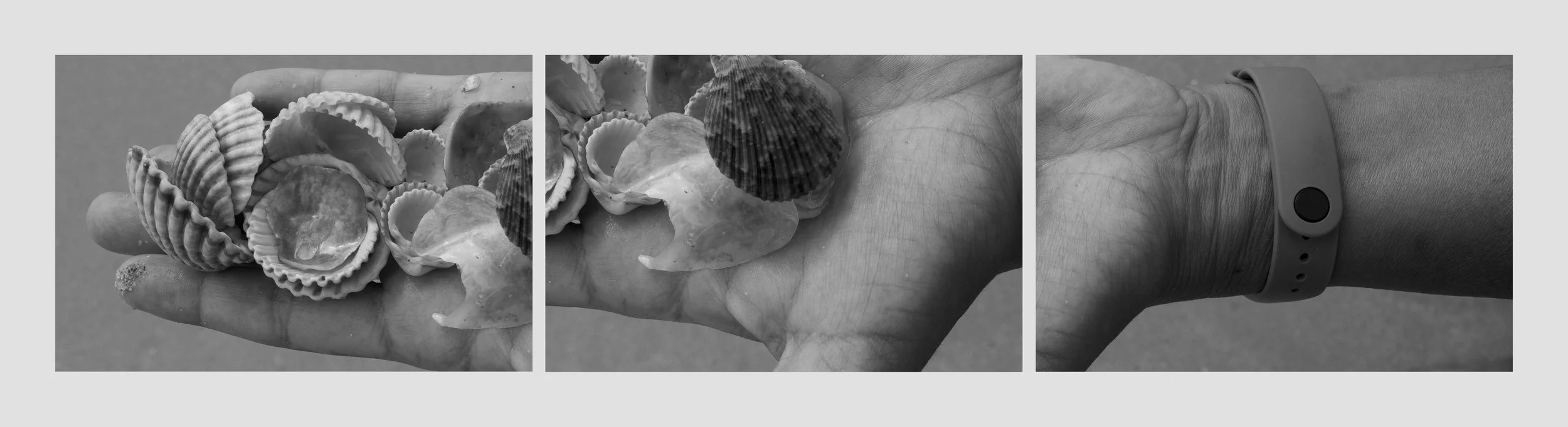 matriz-8-3e_monta a_1+1+1ph copy.jpg