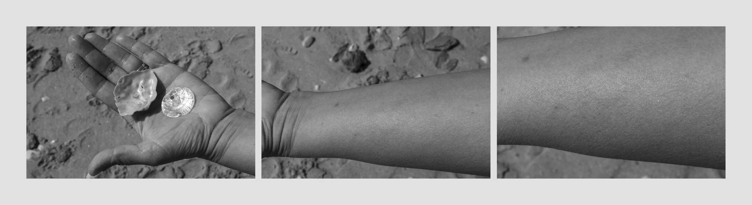 8-3b monta a_1+1+1ph copy.jpg