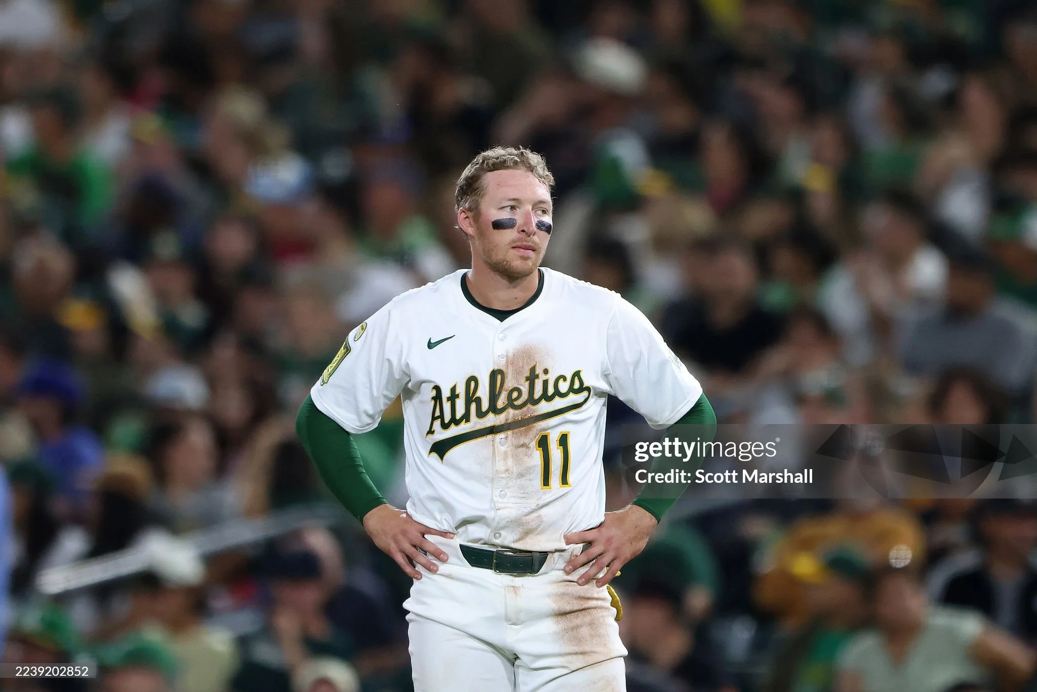 gettyimages-2239202852-2048x2048.jpg