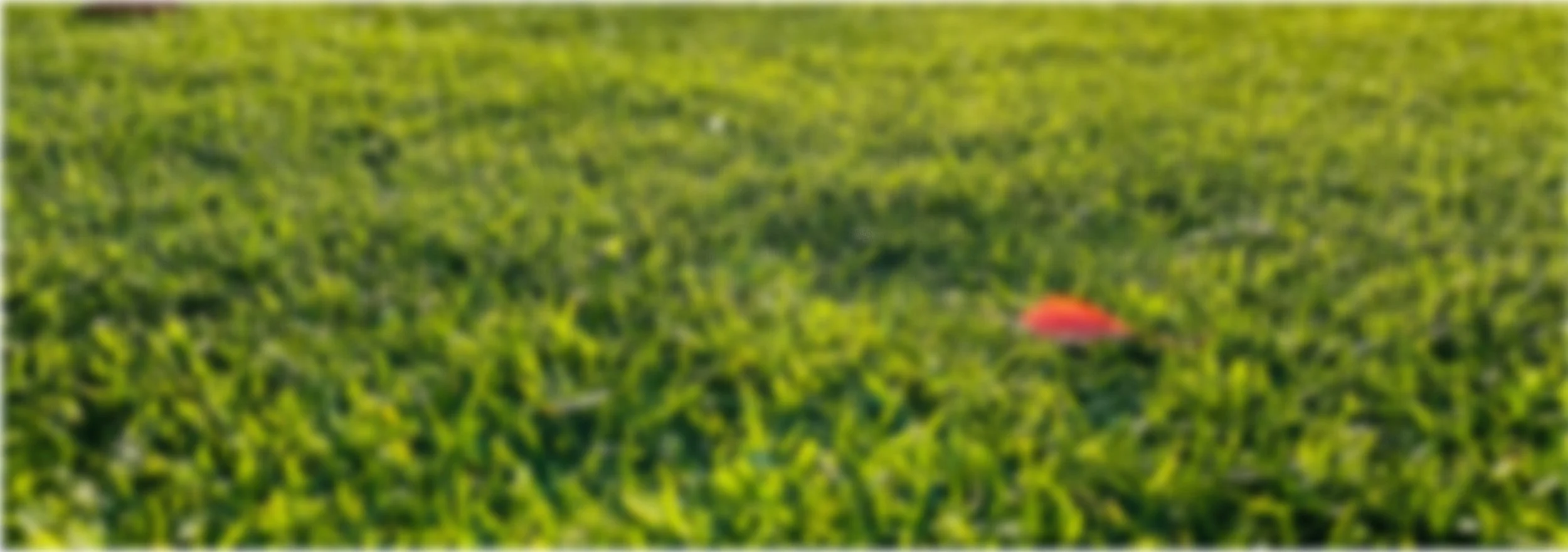 Evergreen Health and Herbs