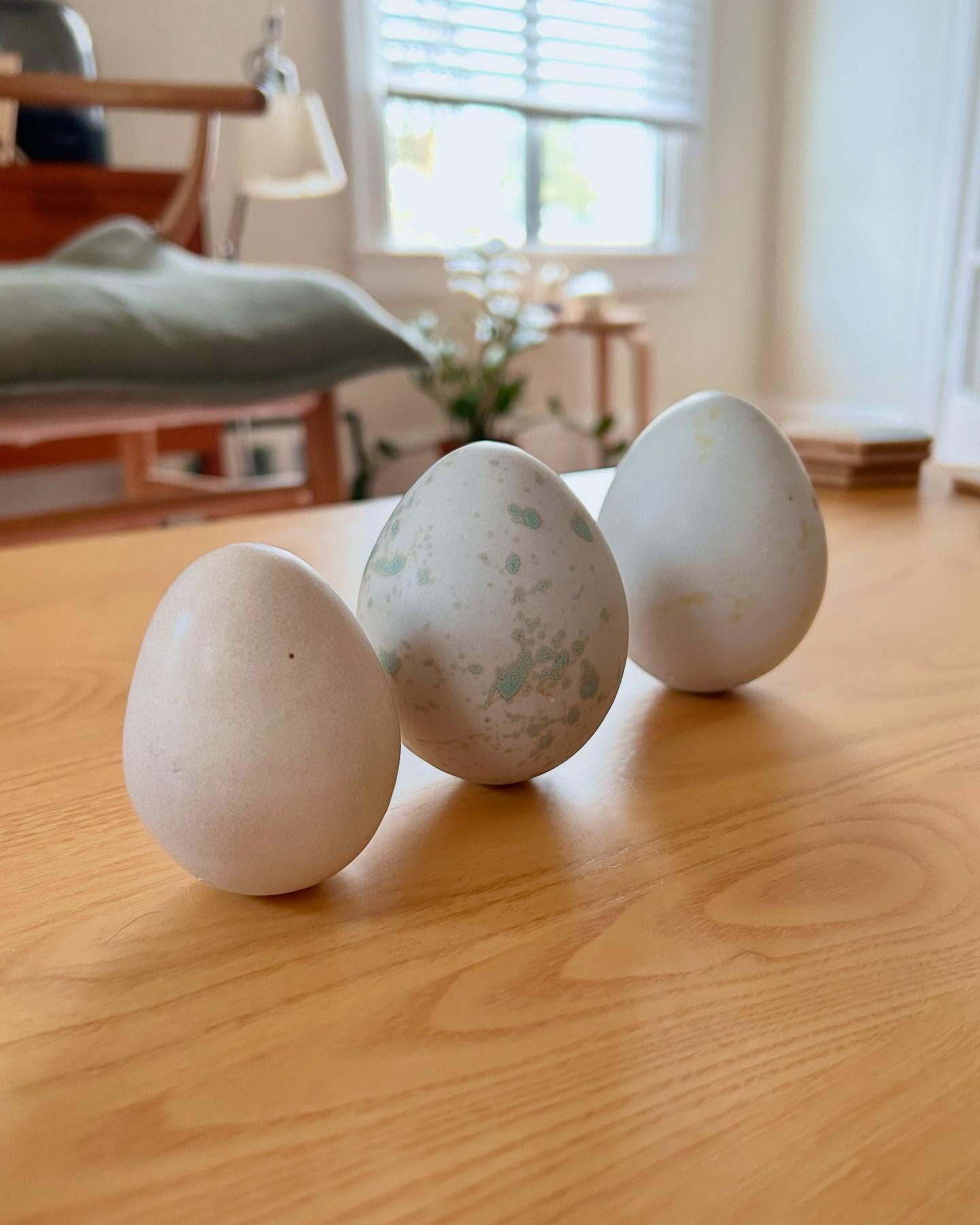 Eggs eggs eggs

#eggs #eggsofinstagram #ceramicegg #pottery #handmade #egg