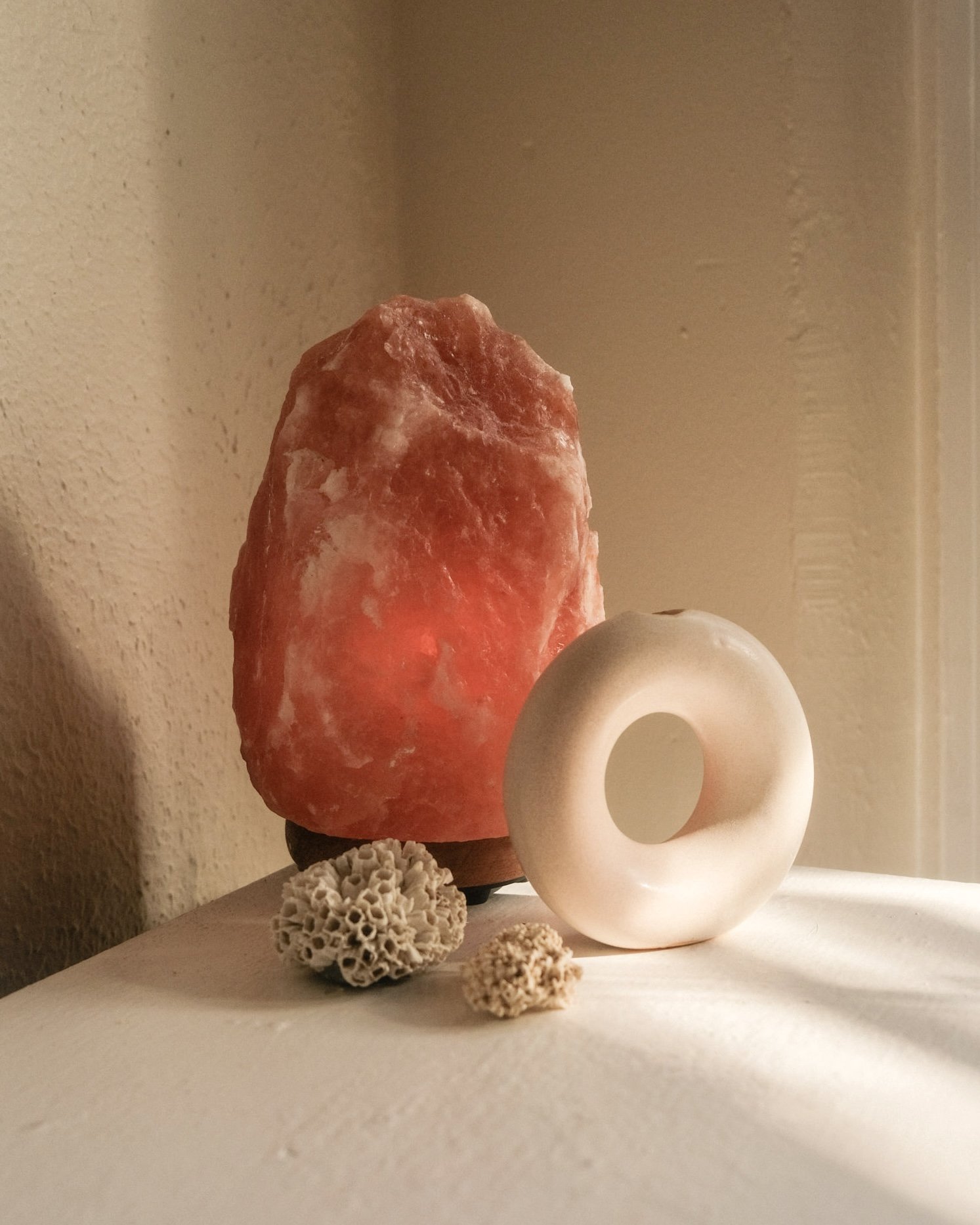 Donut vase with pink salt lamp and pieces of found coral
