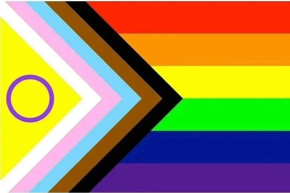 A multicolored LGBTQ pride flag with a pink, white, blue, brown, and black stripe, leader with a purple circle, and rainbow stripes including red, orange, yellow, green, blue, and purple.