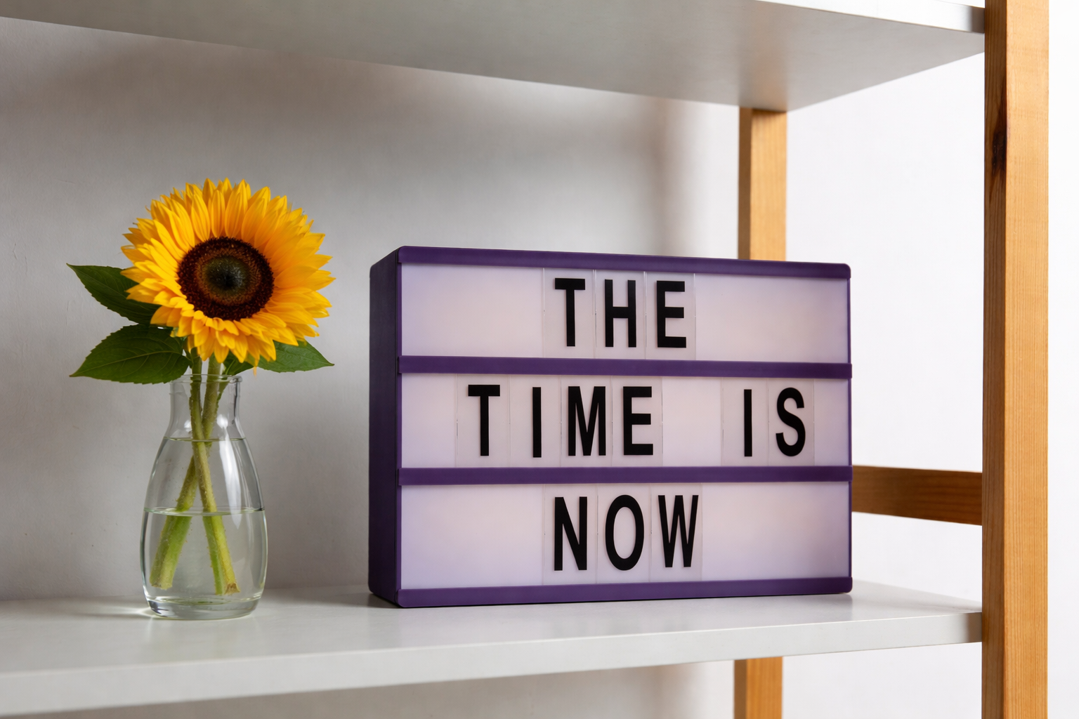 A sunflower in a glass vase next to a lightbox sign that reads "The Time Is Now" on a white shelf.