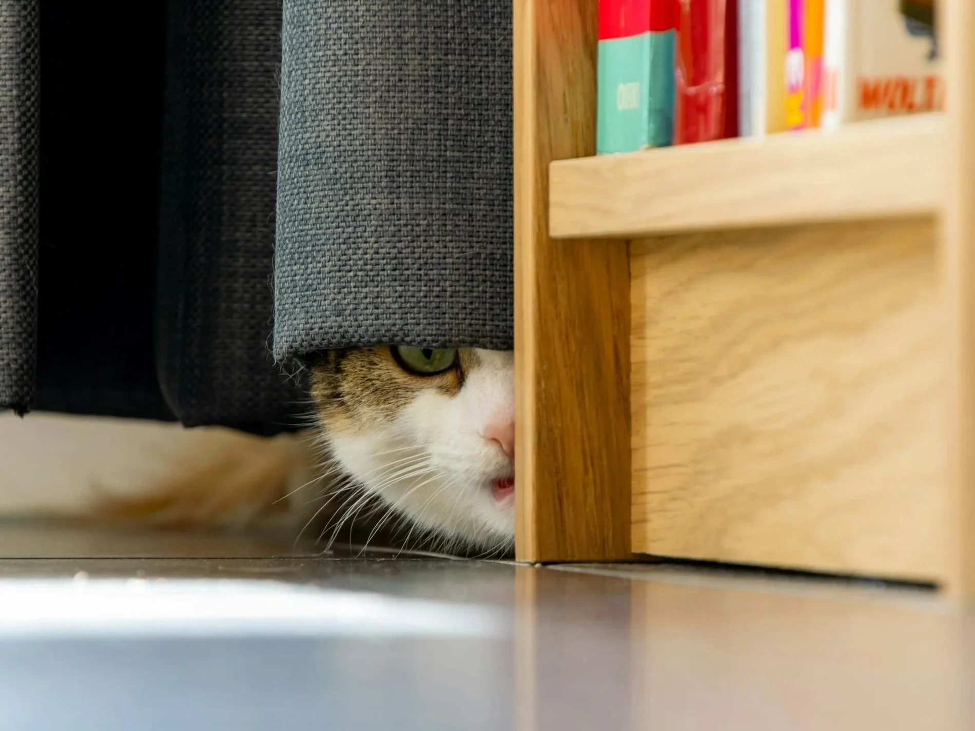 Why Avoidance Makes Trauma Symptoms Worse