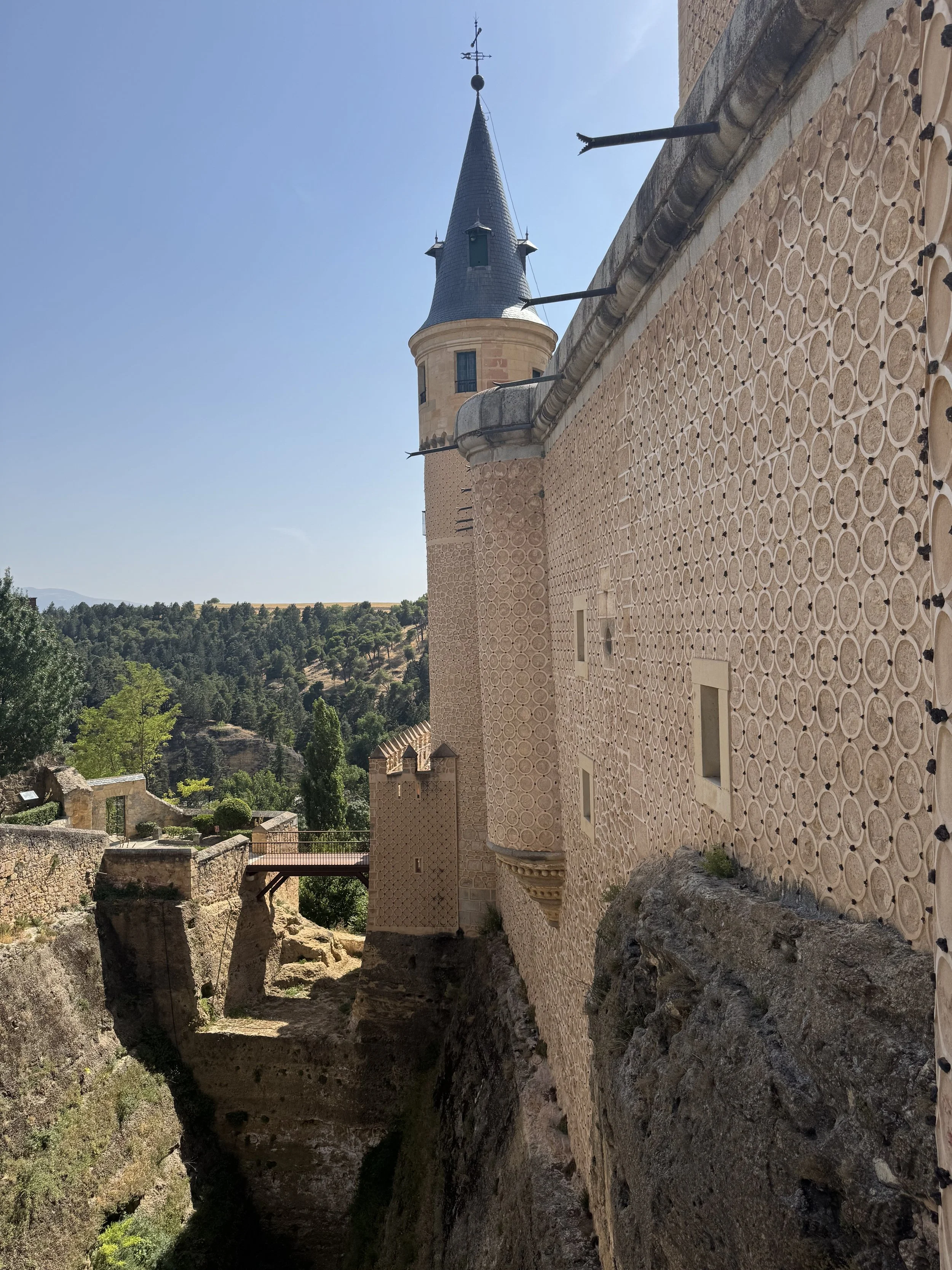 IMG_7366.jpeg