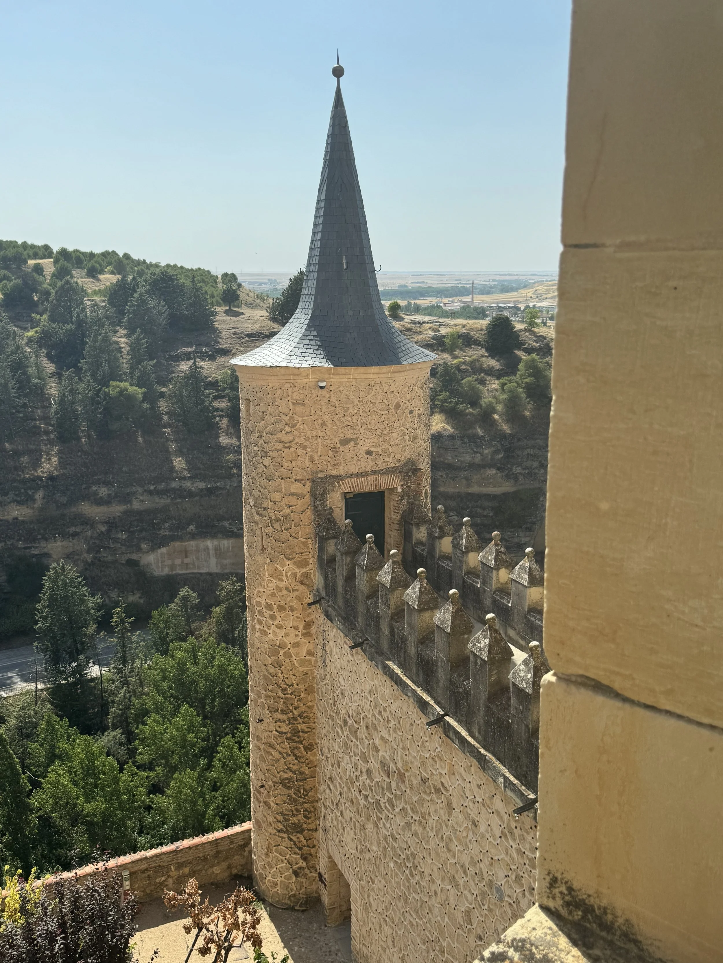 IMG_7361.jpeg