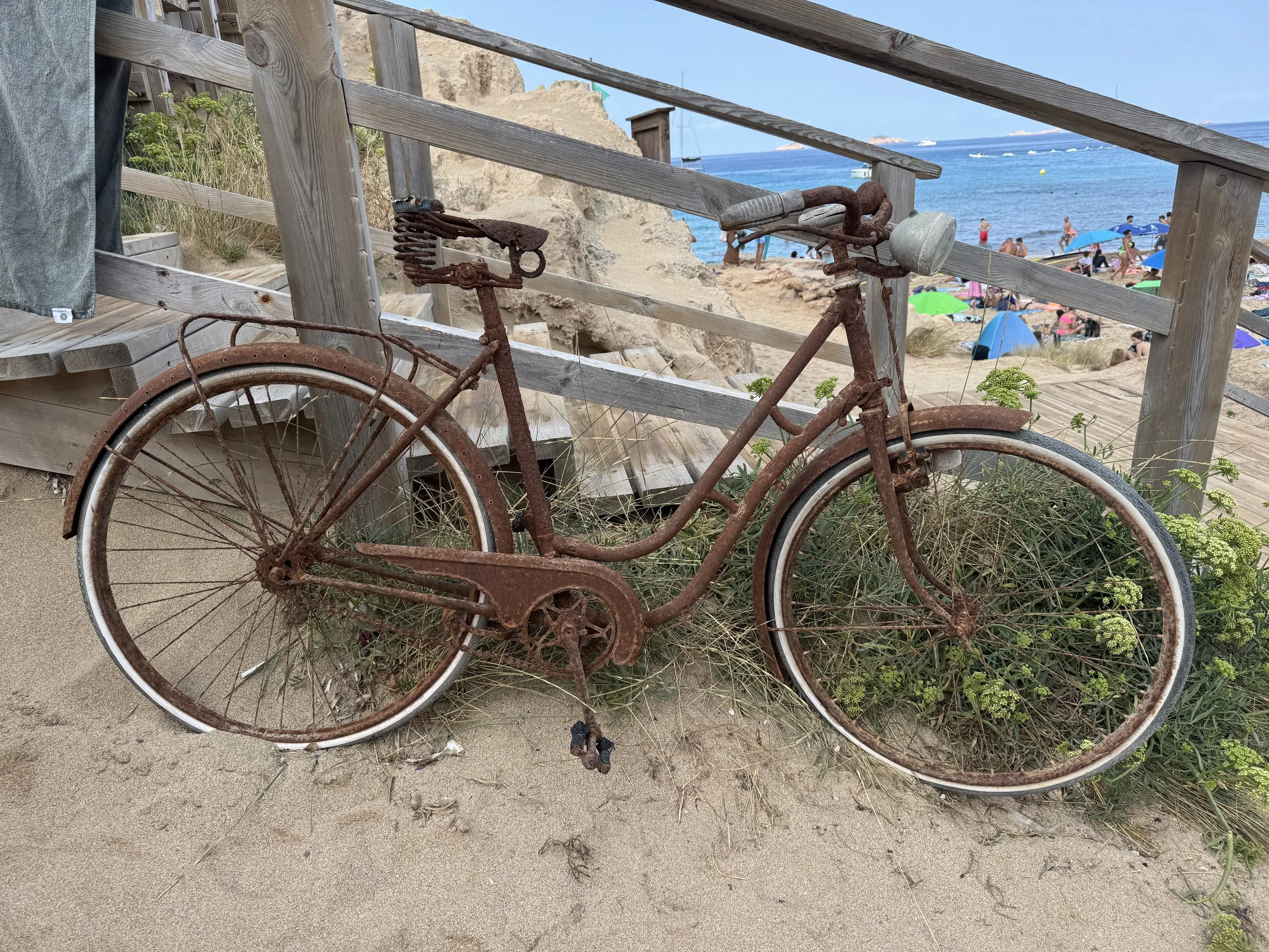 Someone has been at the beach a long time!