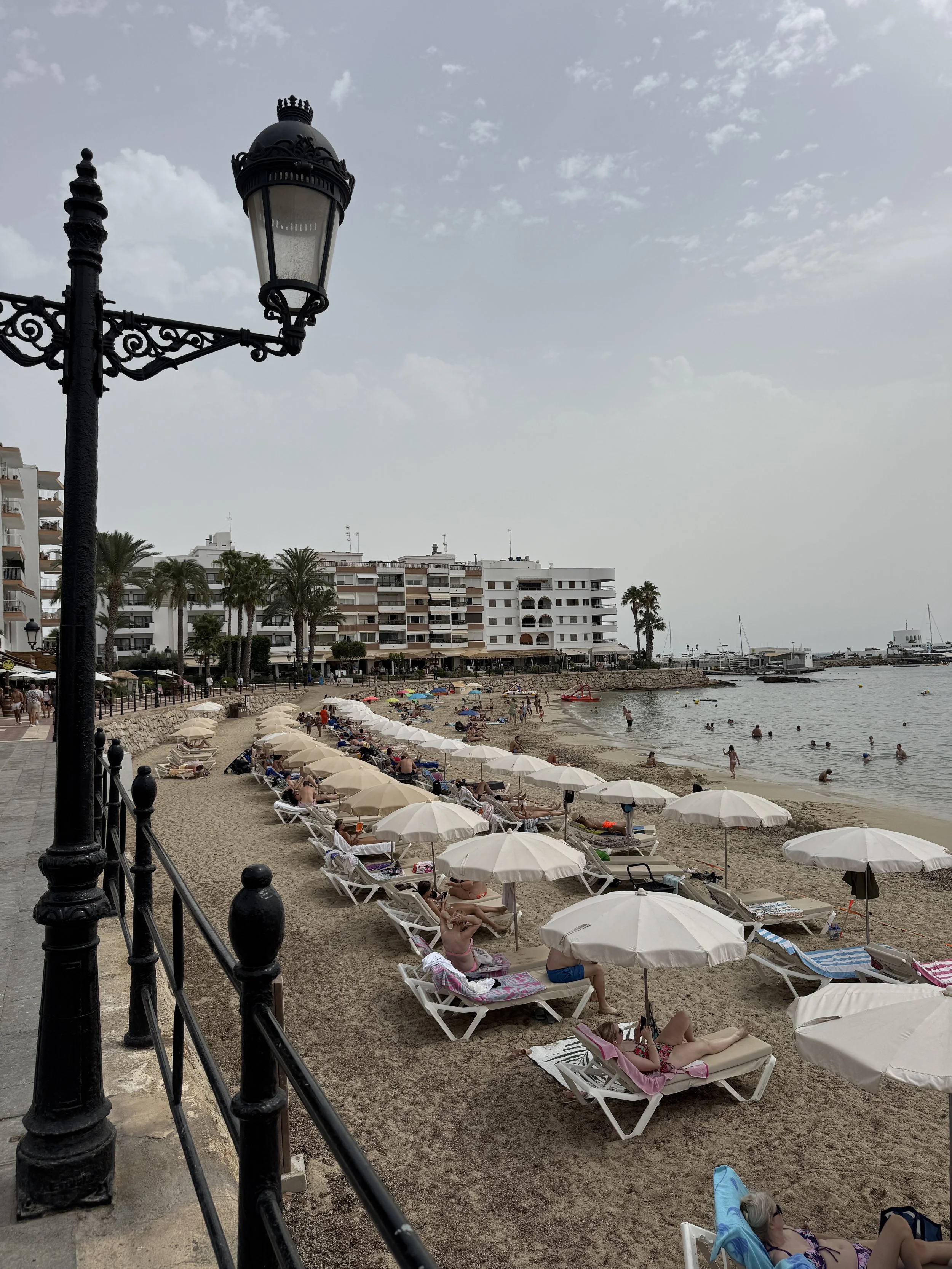 IMG_9719.jpeg