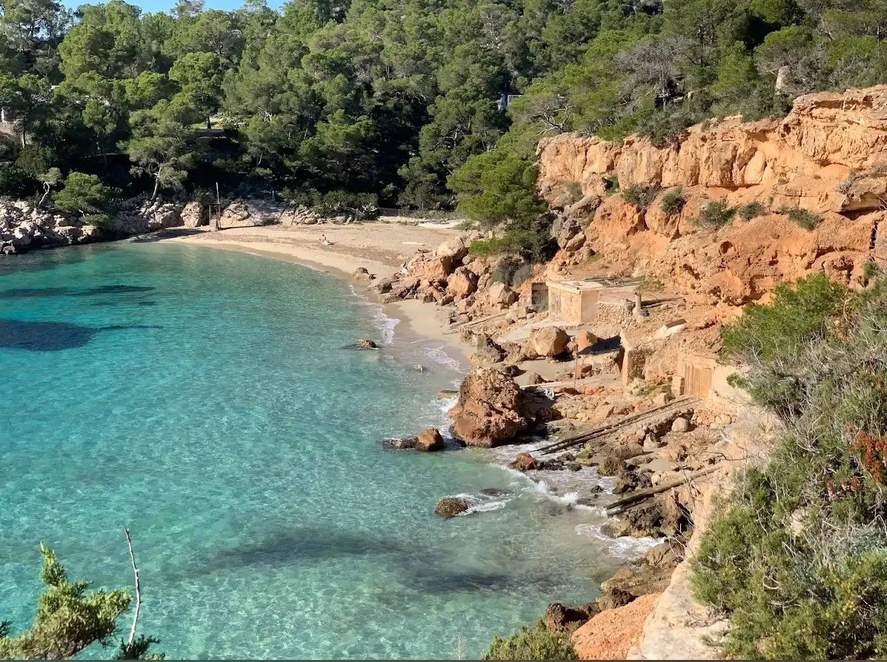 What the internet said the beach looked like...