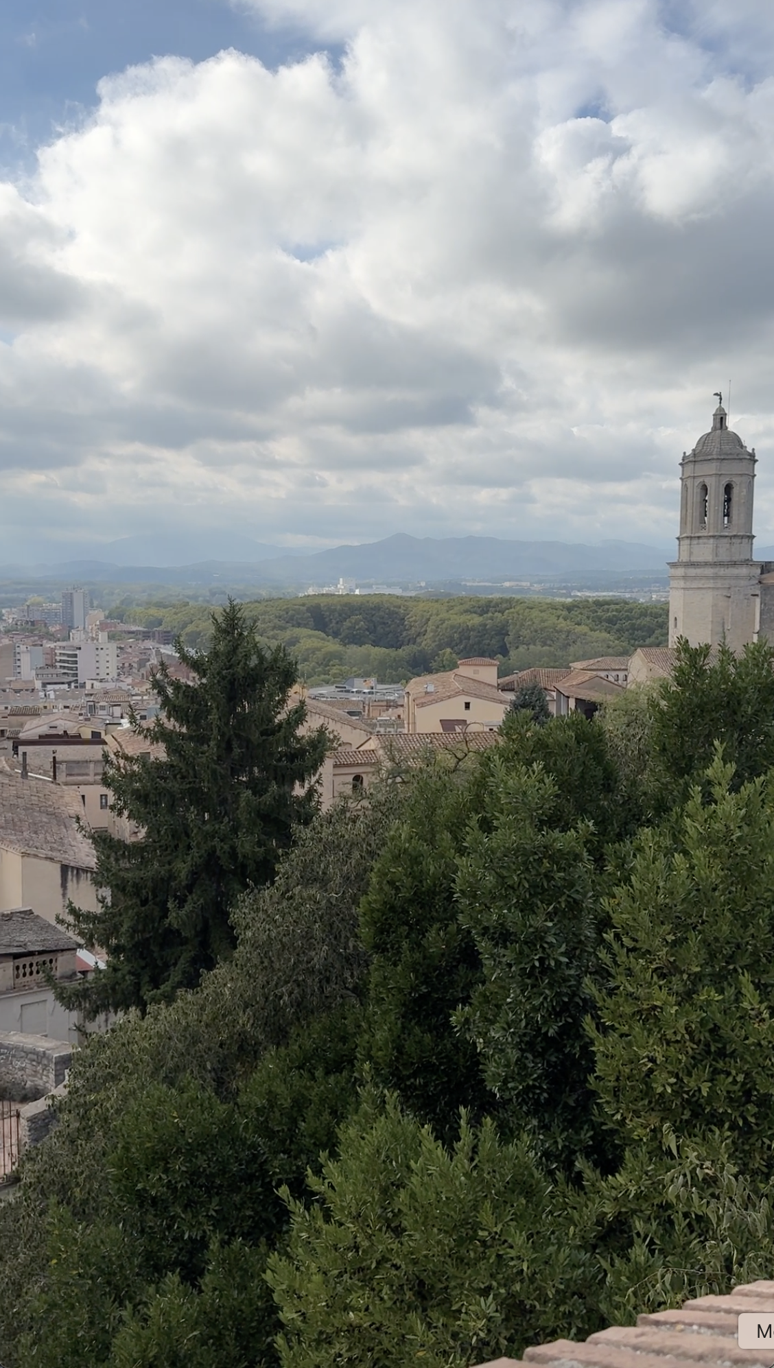 Screenshot 2025-11-15 at 1.40.51 PM.png