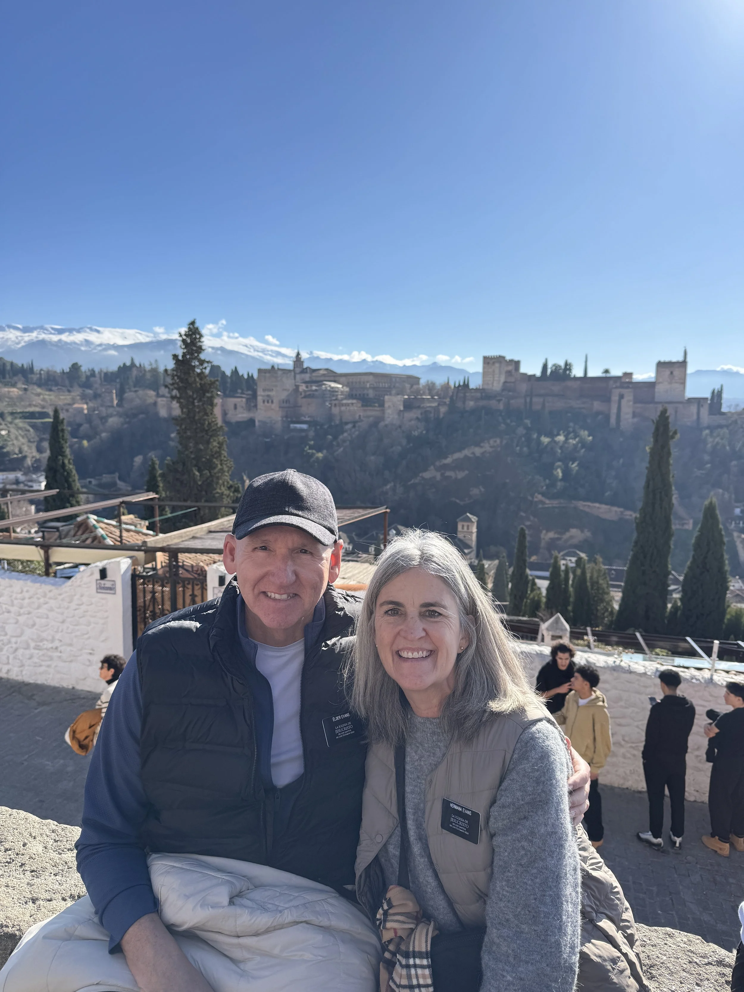 View of the Alahmbra from a vista