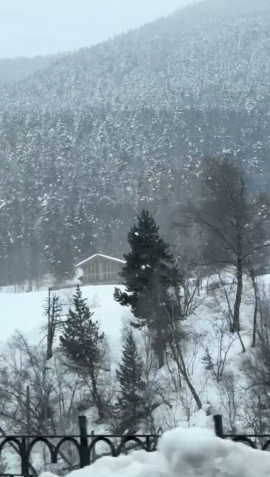 Screenshot 2026-02-09 at 2.19.05 PM.png