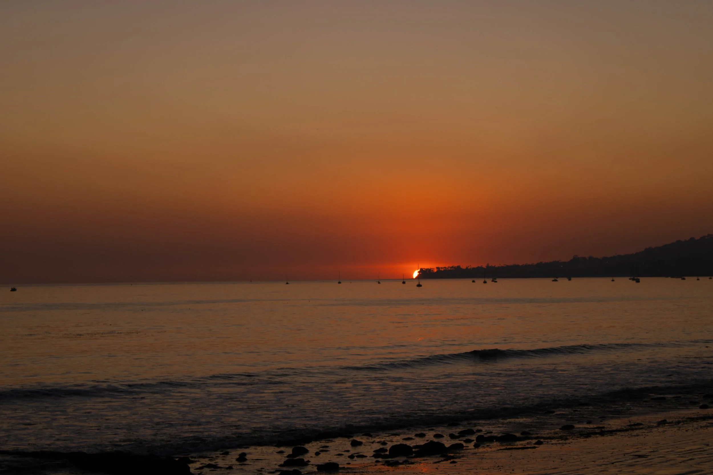 sunsetbfly.jpg