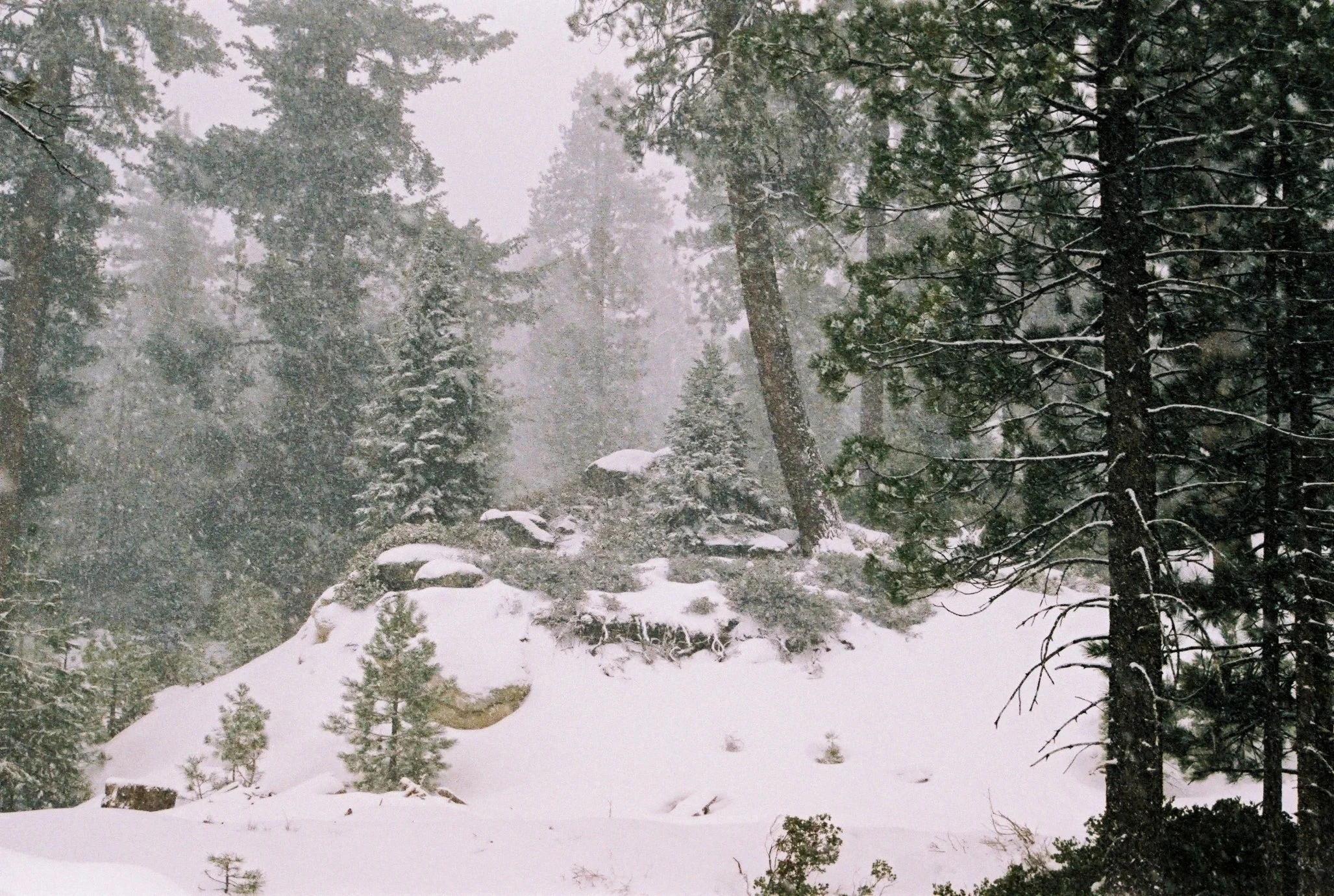 A100552_A100552_006.jpg