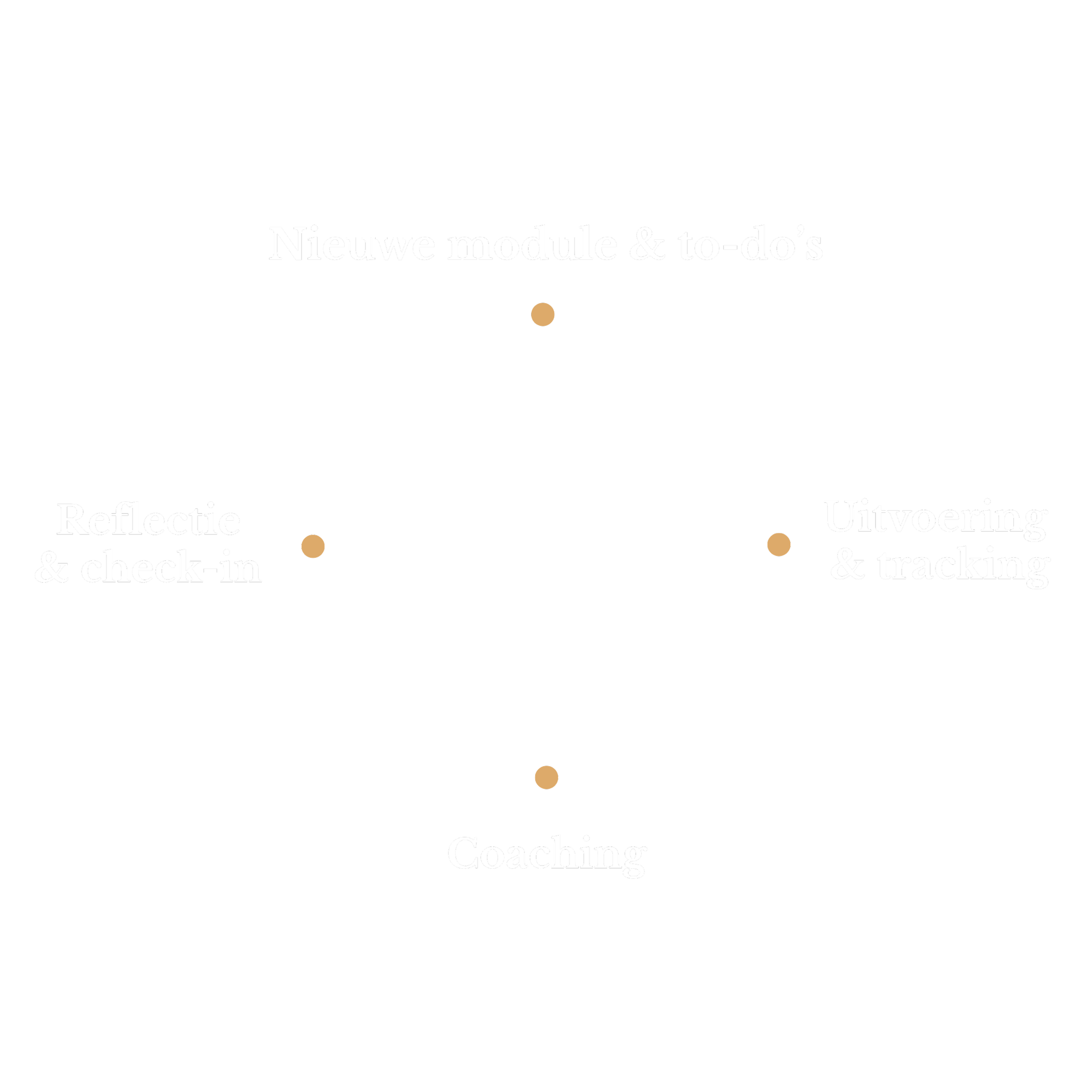 Diagram met stappen voor planning en uitvoering, inclusief nieuwe modules, reflectie, check-in, to-do's, uitwering en tracking, en coaching.