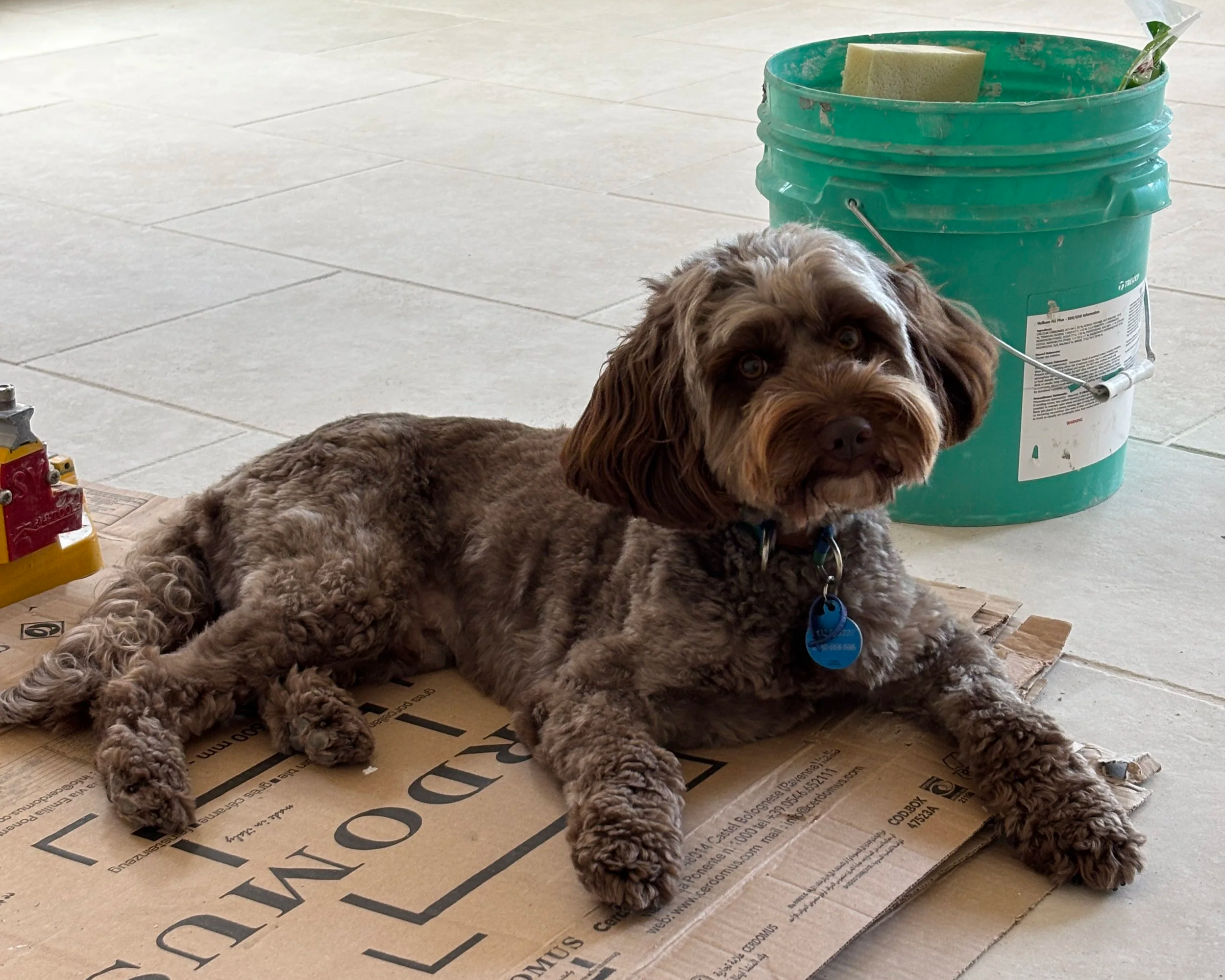 Understanding tile ratings before you buy