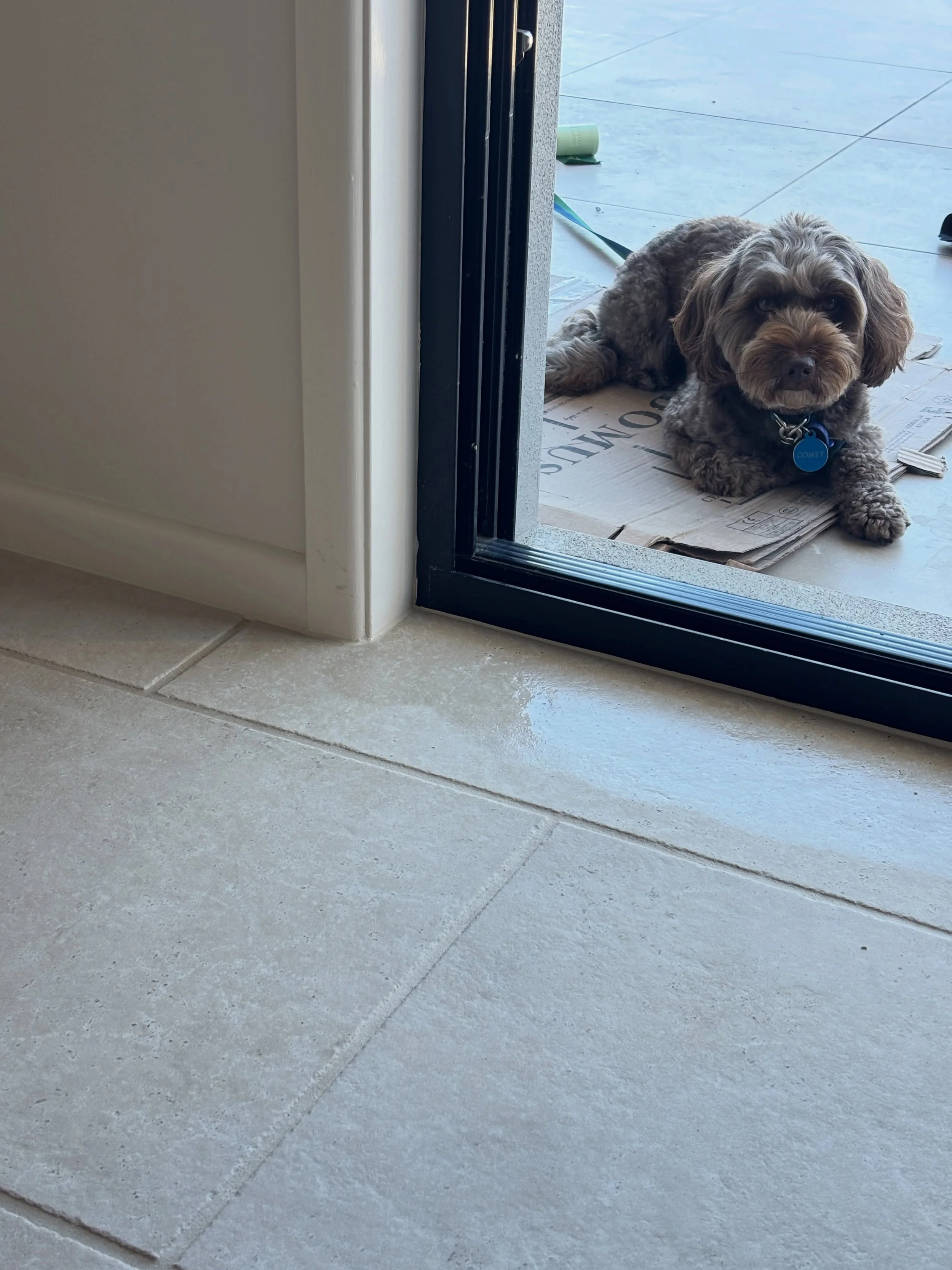 Don&rsquo;t be fooled by Comets face, it&rsquo;s always a joy to have repeat clients! So thrilled that Sandra, Bruce and Louie&rsquo;s called us back to their house to extend the ground floor tiling into this back room 👏 

Tile: @unicastoneandtilebo