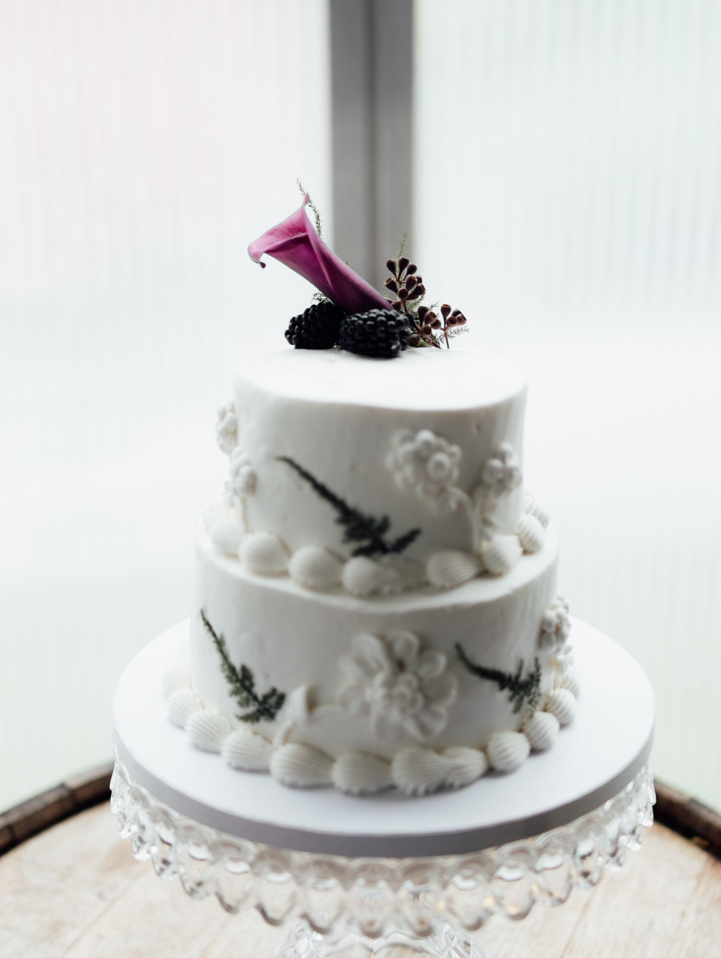 Blackberry Bramble Editorial (743).jpg