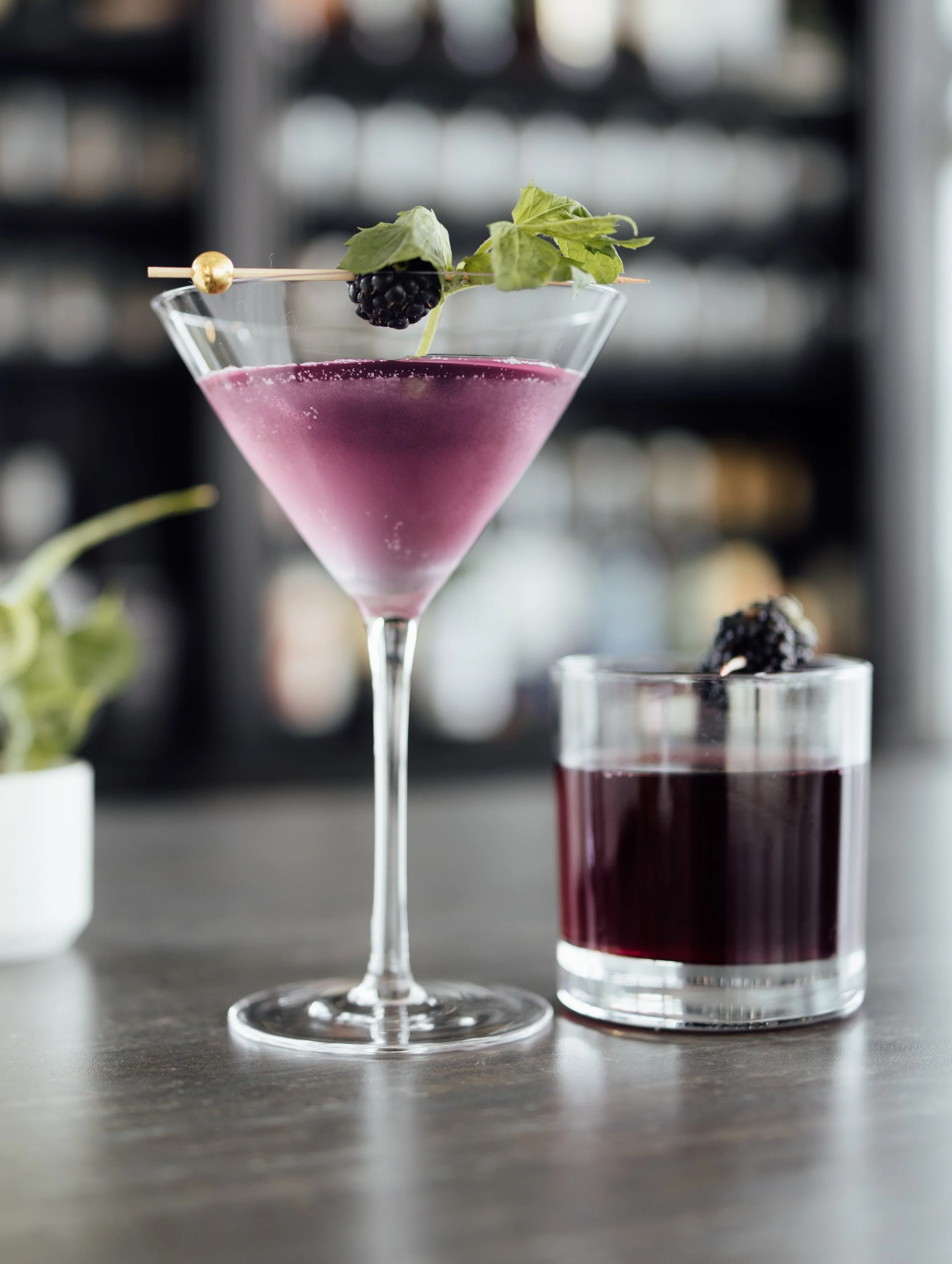 Blackberry Bramble Editorial (723).jpg