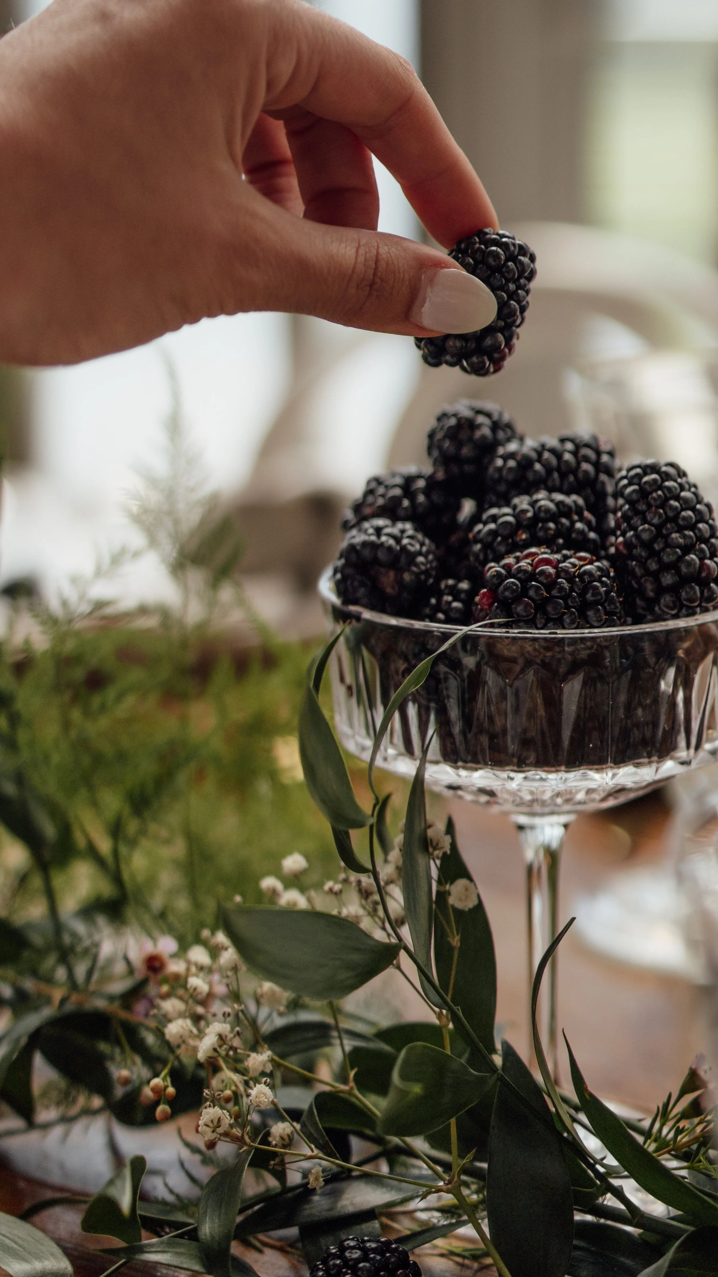 Blackberry Bramble Editorial (1040).jpg