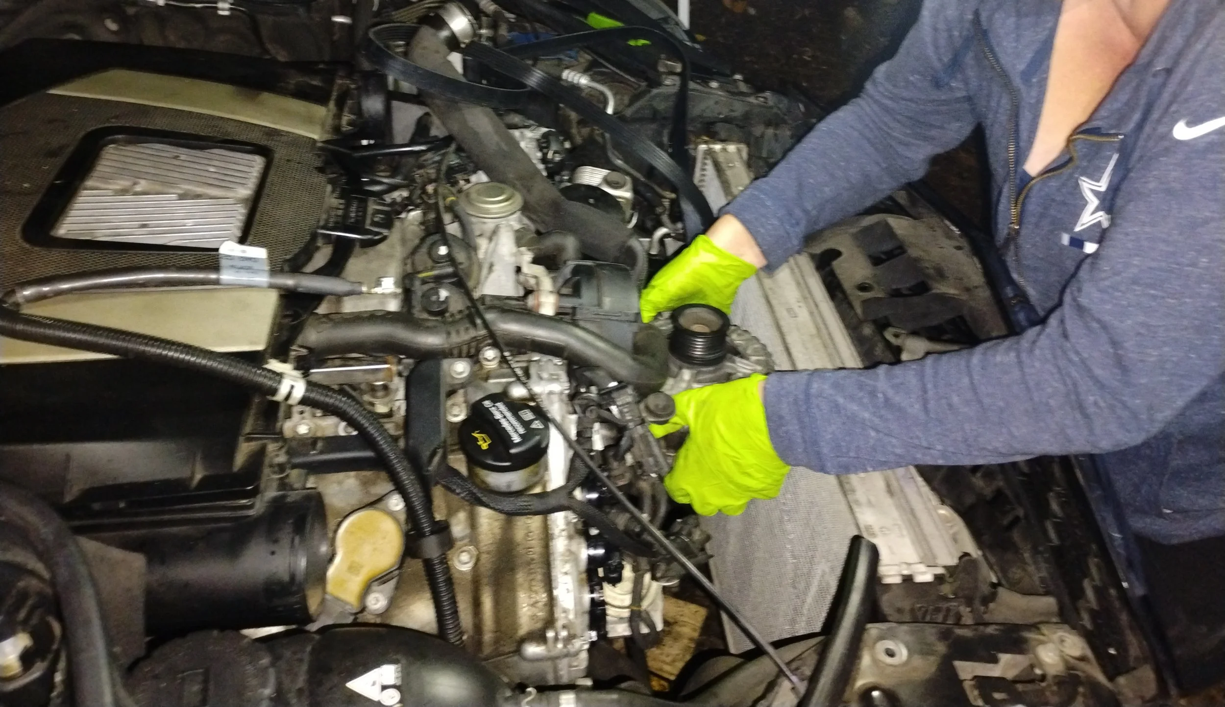 IMG_20241115_190436520 crop.jpg