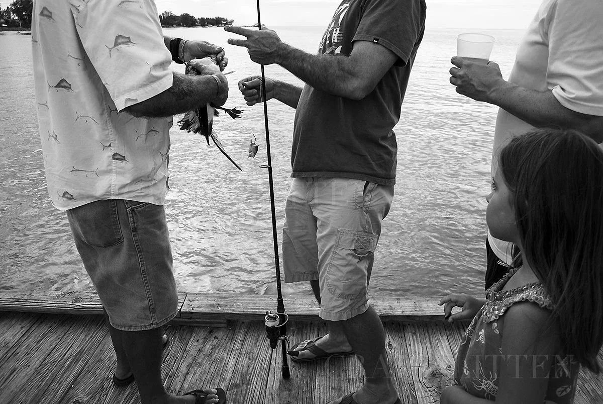 20120723-_DSC4179_sml.jpg