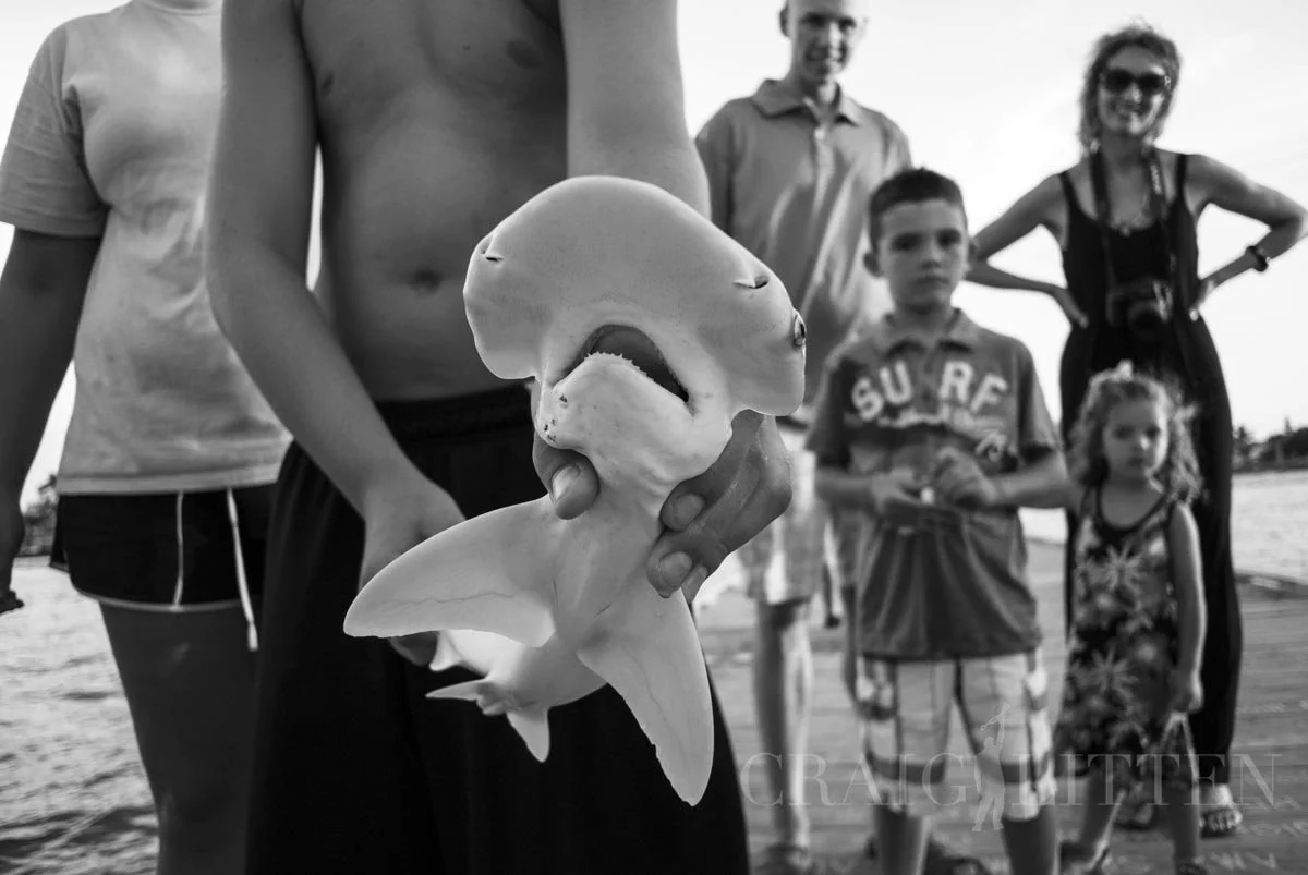 20120709-_DSC1441_sml.jpg
