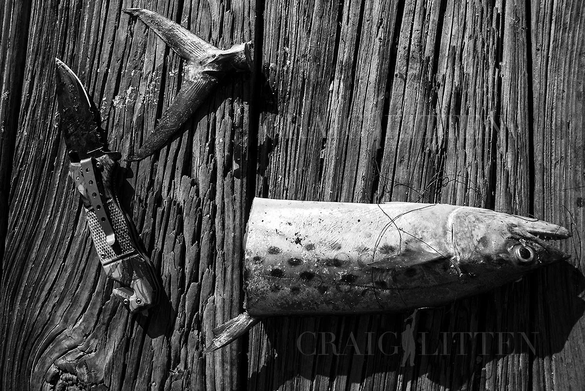 20120804-_DSC7535_sml.jpg