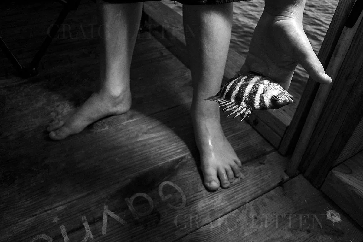 20120727-_DSC5246_sml.jpg