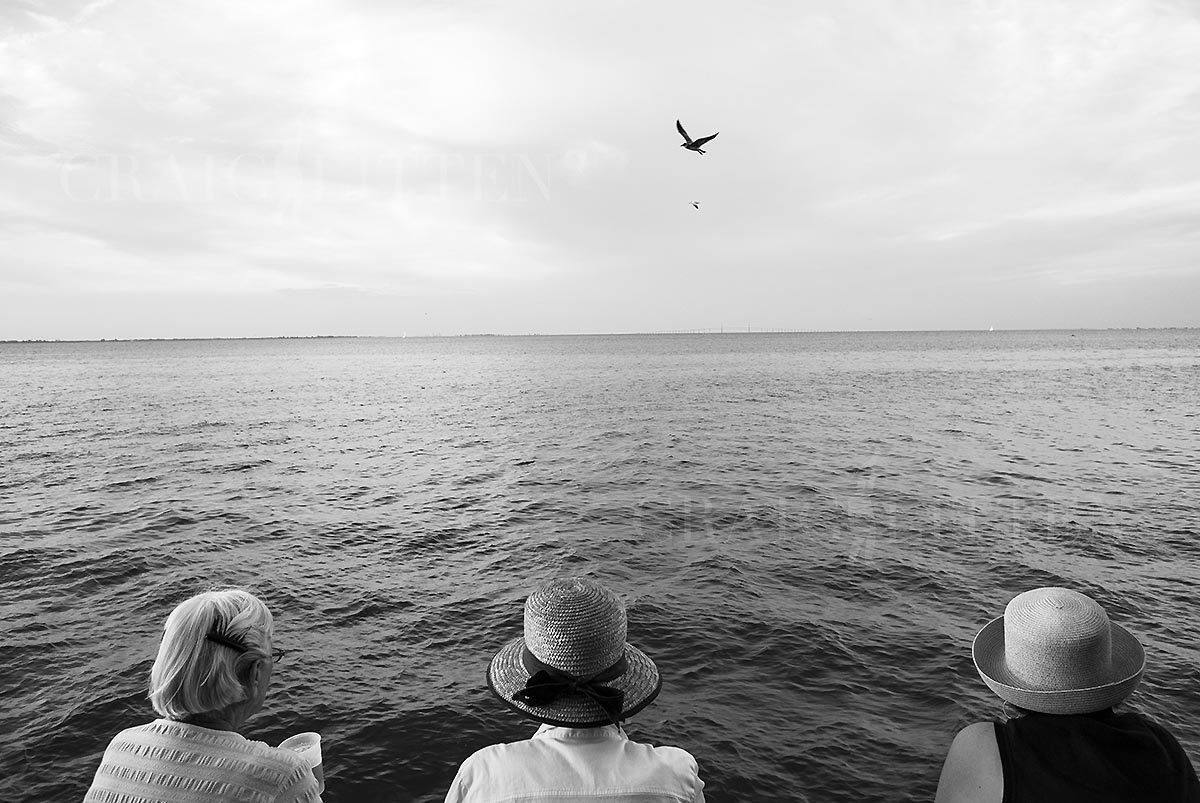 20120802-_DSC6668_sml.jpg