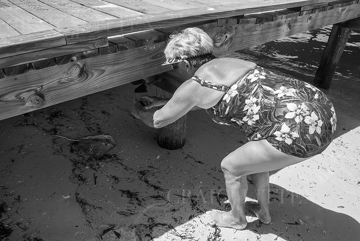 20120803-_DSC6887_sml.jpg