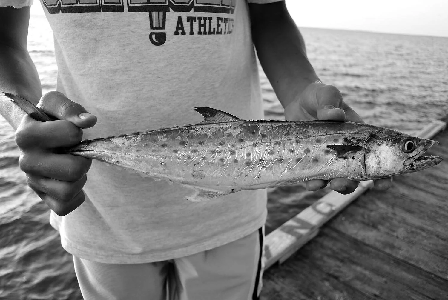AMIPier_061312_DSC7362_sml.jpg