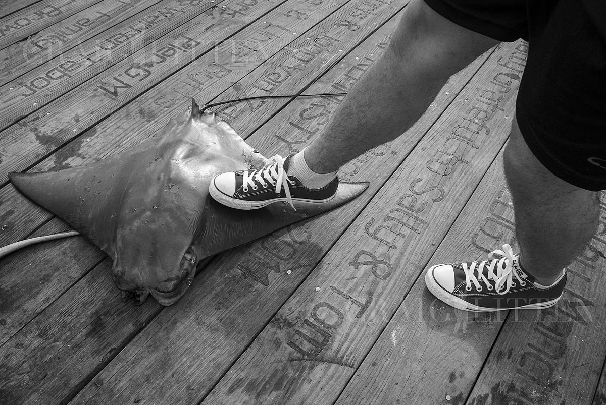 20120710-_DSC1880-bw_sml.jpg