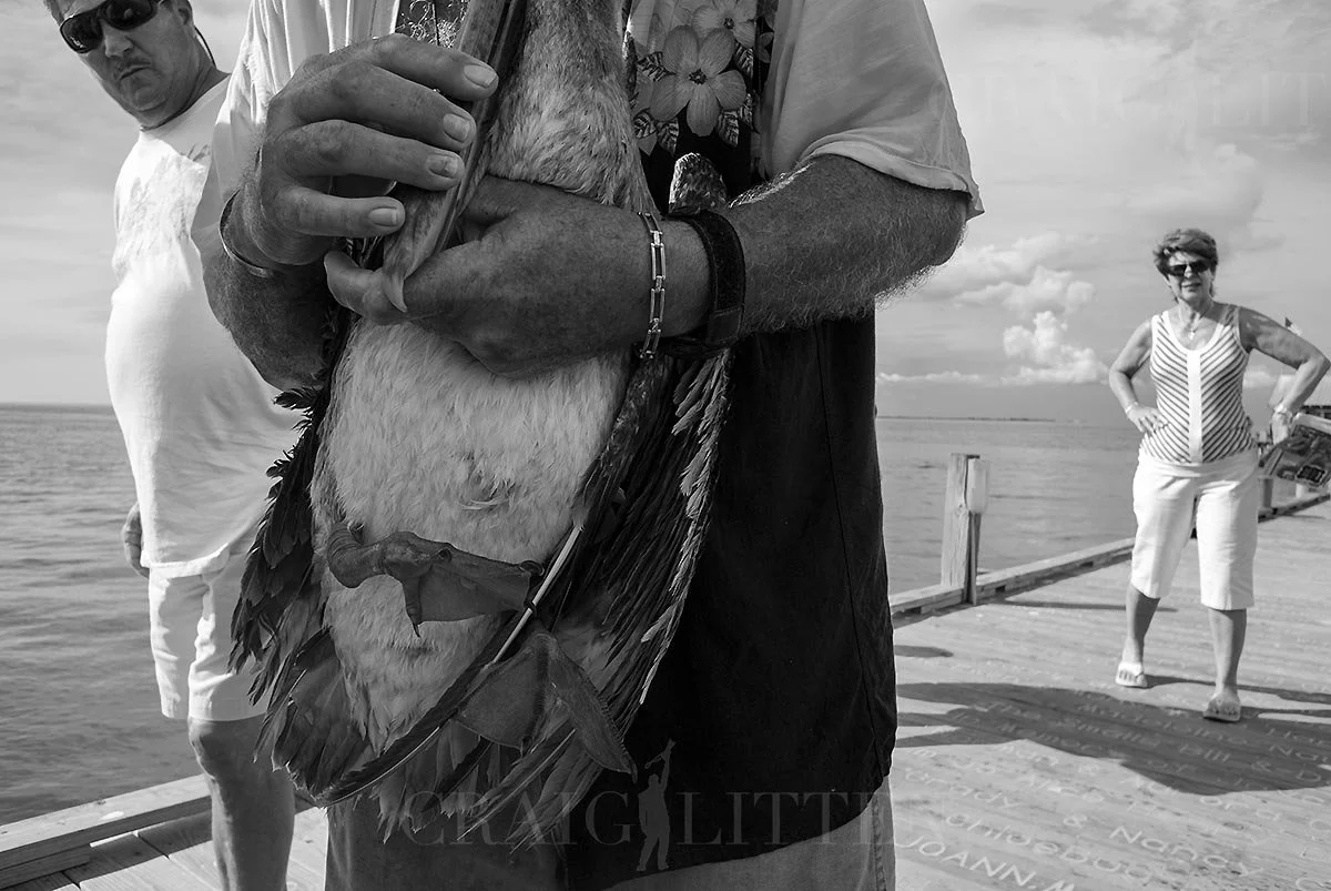 20120805-_DSC8667_sml.jpg