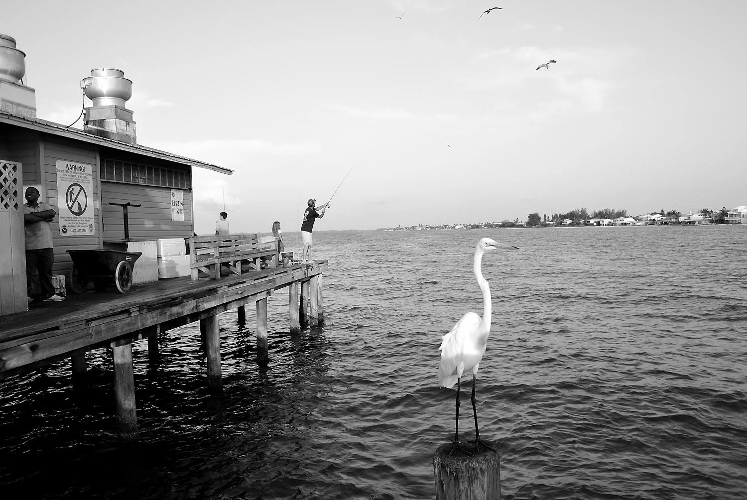 AMIPier_061312_DSC7305_sml.jpg