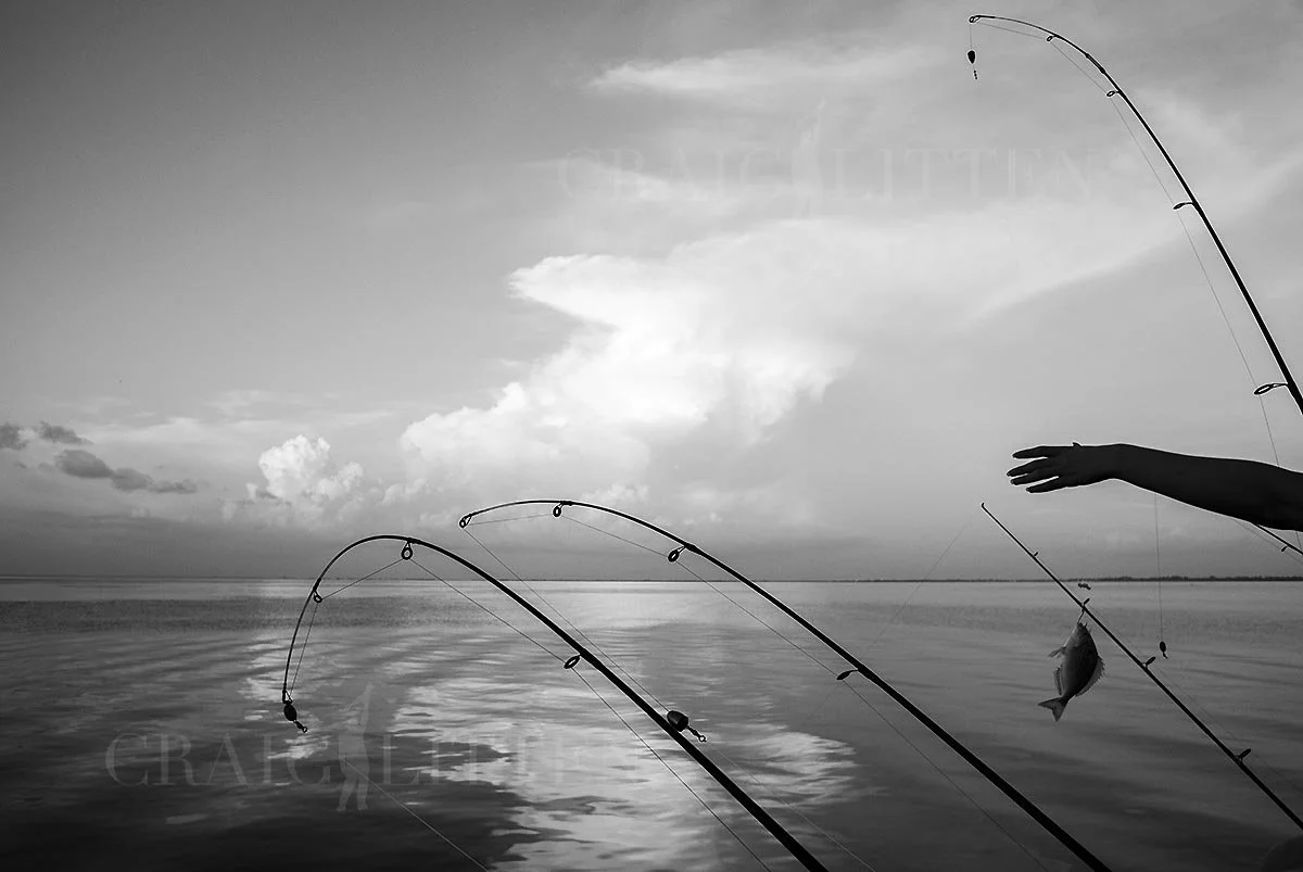 20120816-_DSC0215_sml.jpg