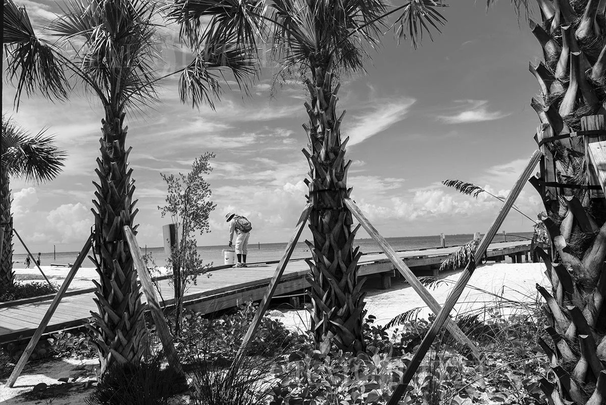 20120802-_DSC6383_sml.jpg