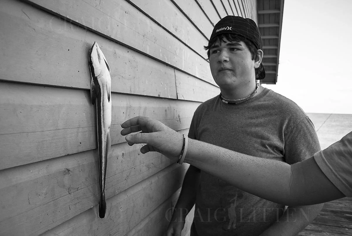 20120729-_DSC5500_sml.jpg