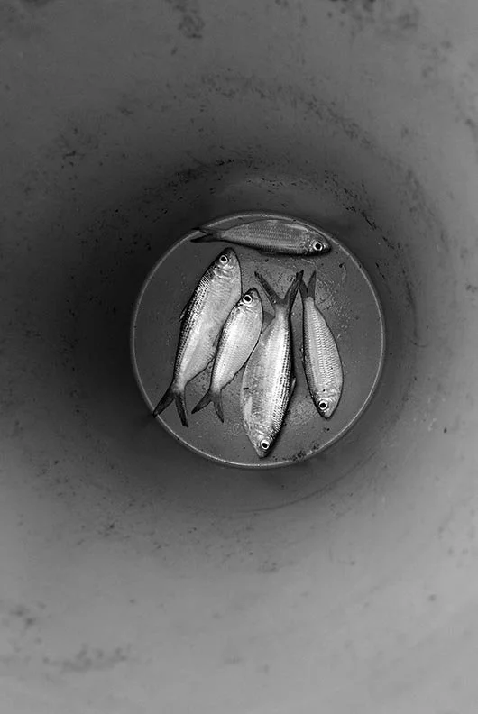 AMIPier_060712_DSC5968_sml.jpg