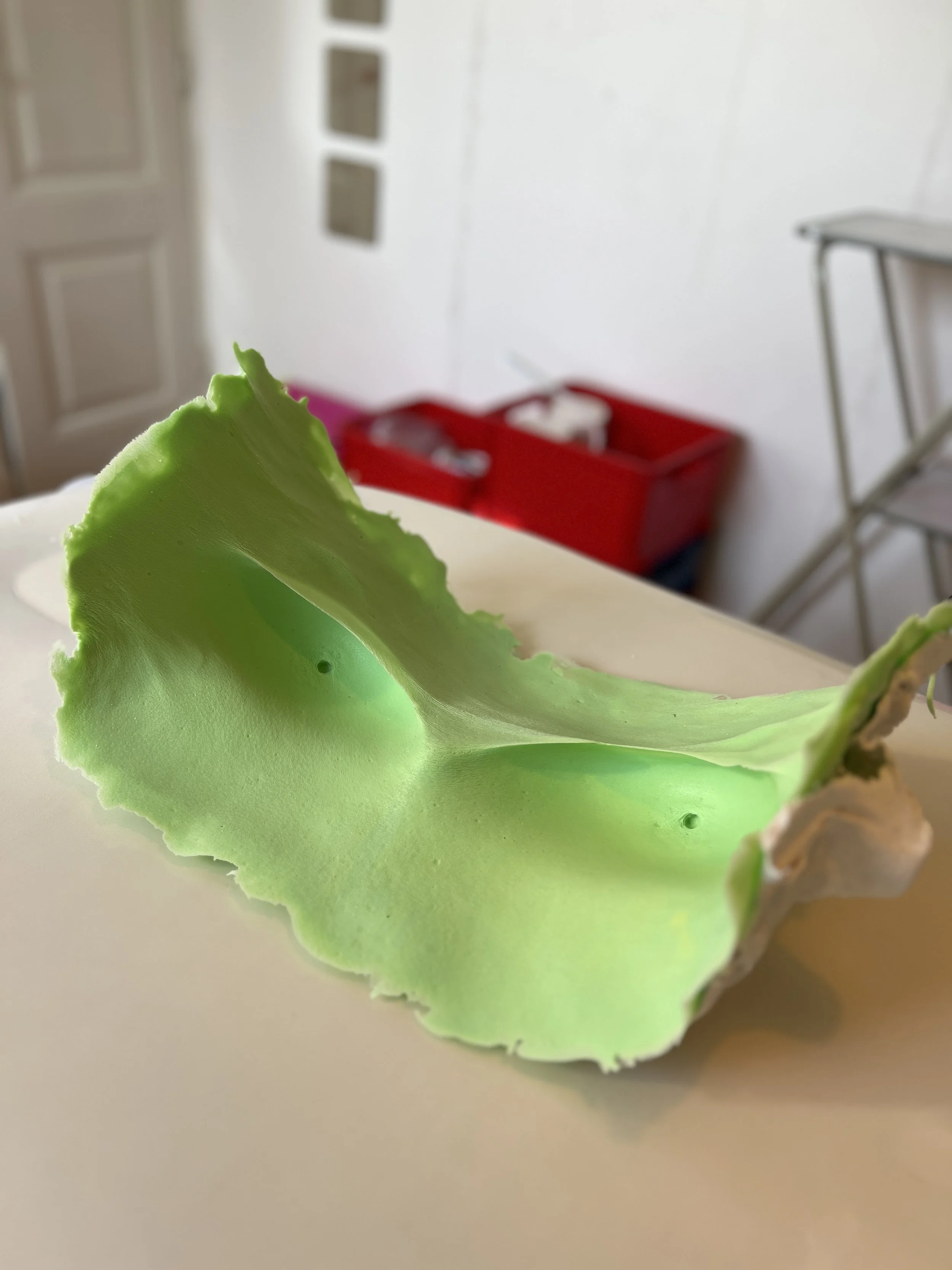 Negatieve afdruk van een borstkas in groene siliconen met gipssteunkap eromheen, in atelier Venus in Vorm