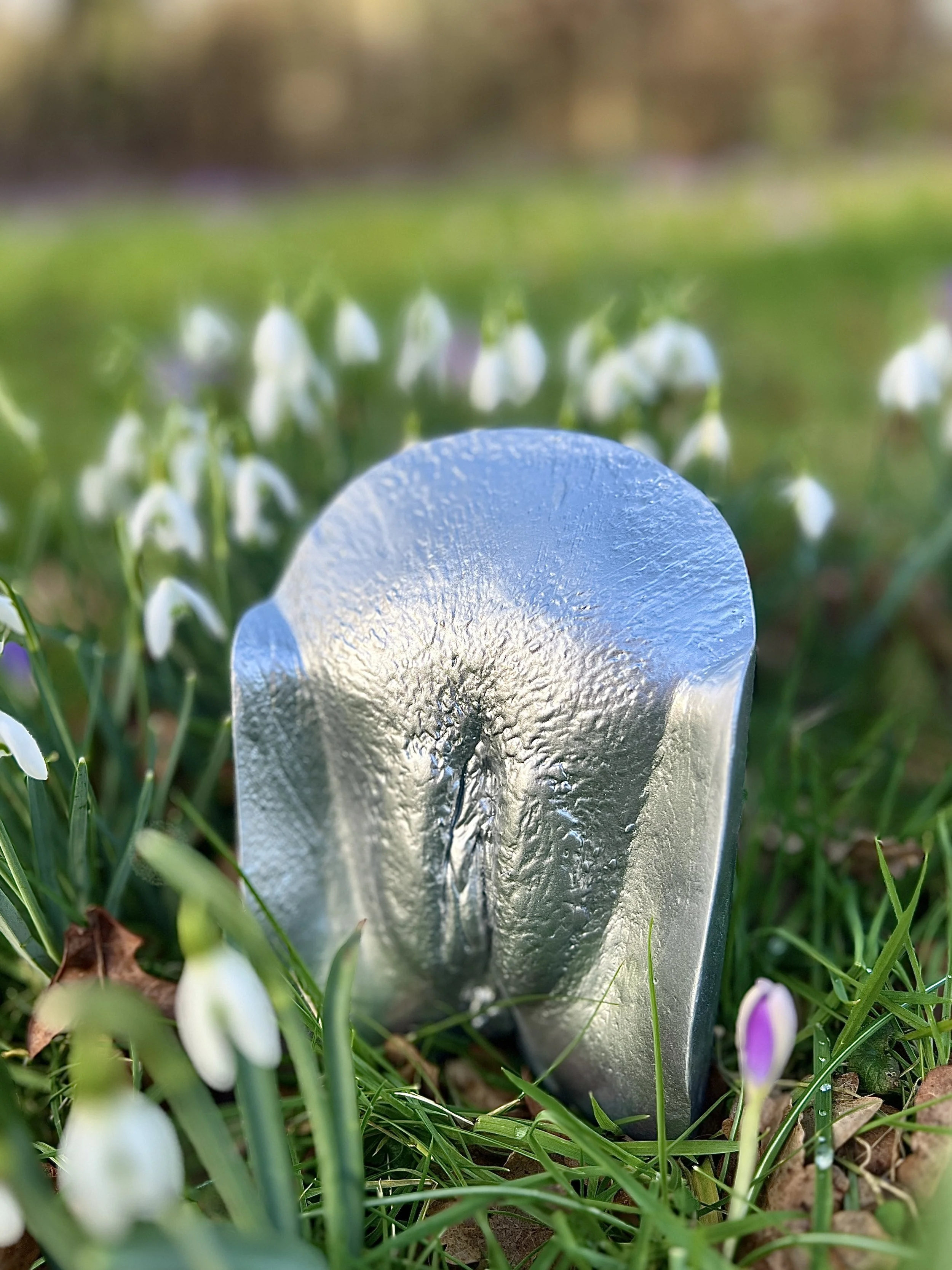 Zilver vulva-kunstwerk met spiegeleffect, handgemaakt van gips, geplaatst in grasveld met witte sneeuwklokjes en paarse krokus, details van schaamhaar zichtbaar, kunstwerk van Venus in Vorm.