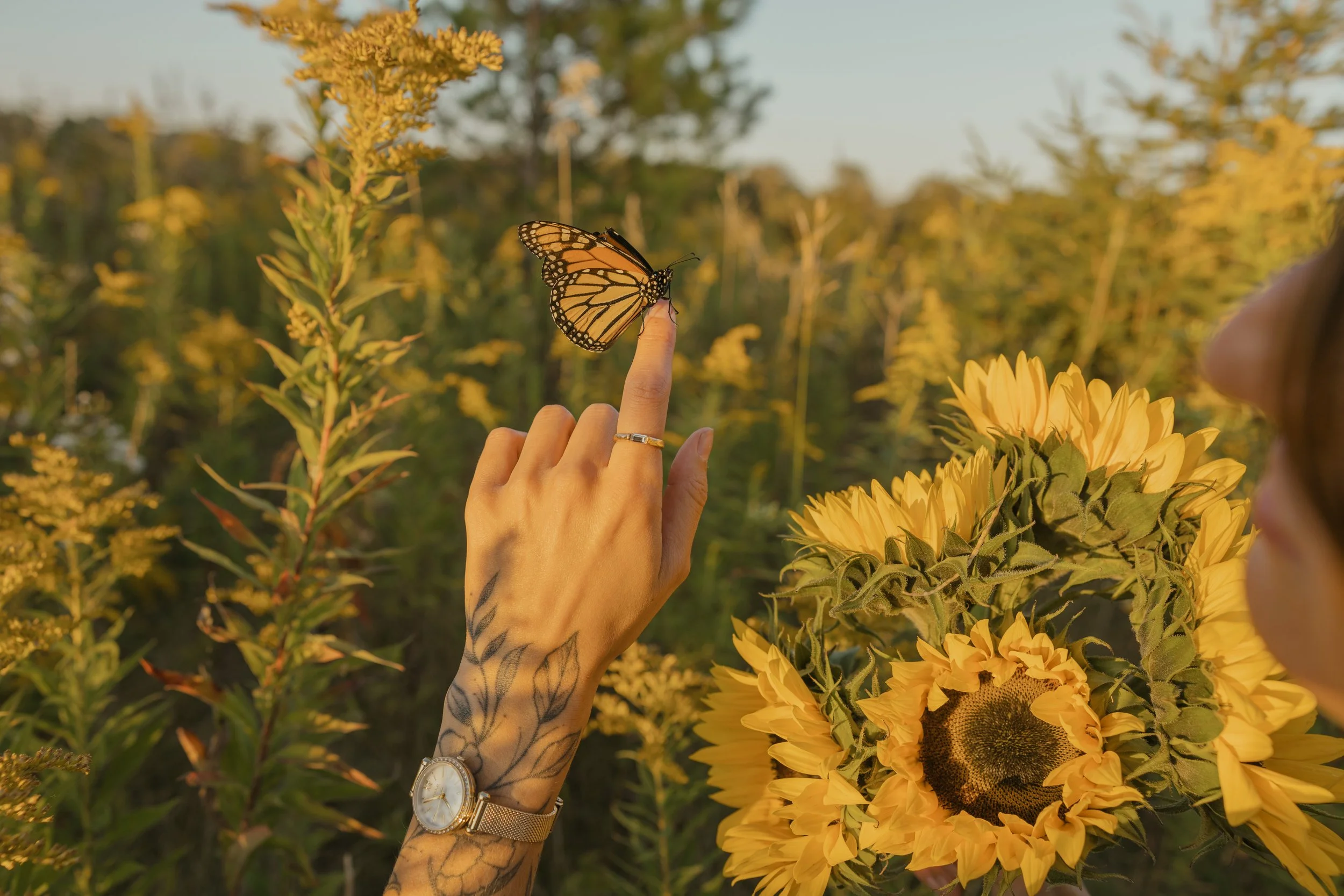 Brooke - Golden Hour-11.jpg